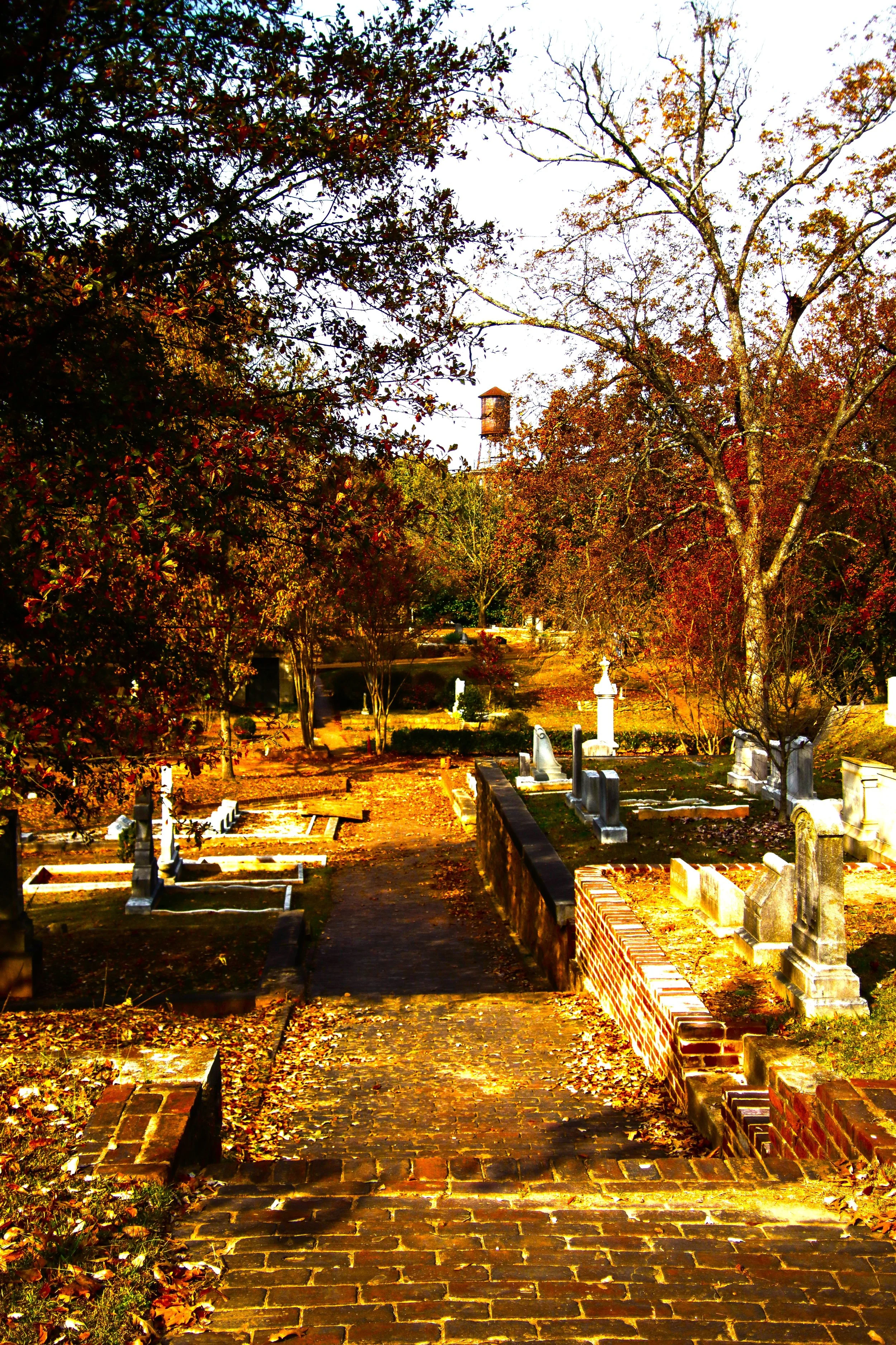 Enchanted with the Pale