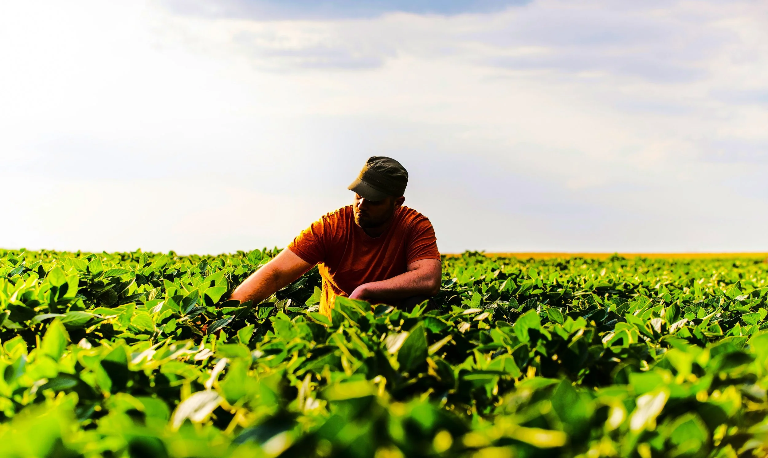 Room 5 (September 1995)