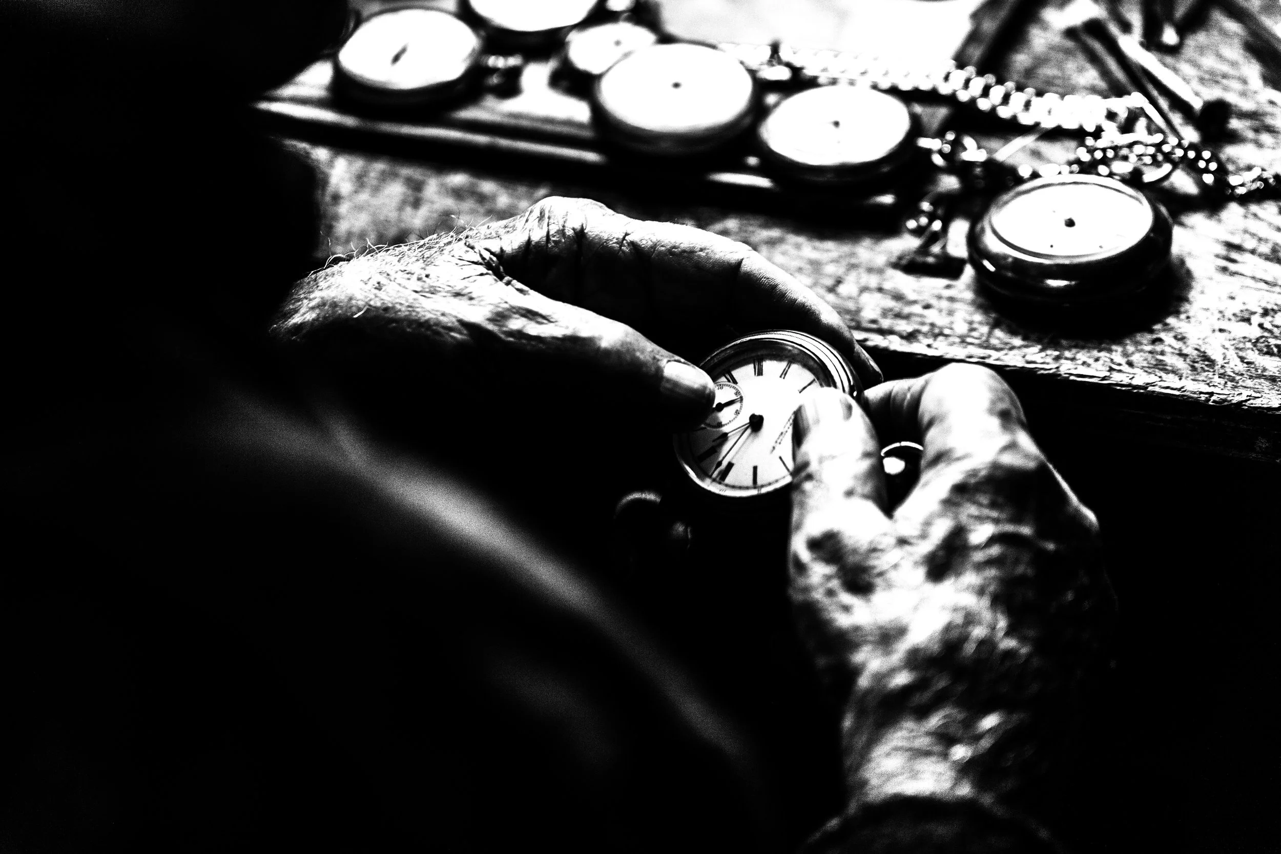 What the Tree Teaches: A Quiet Instruction