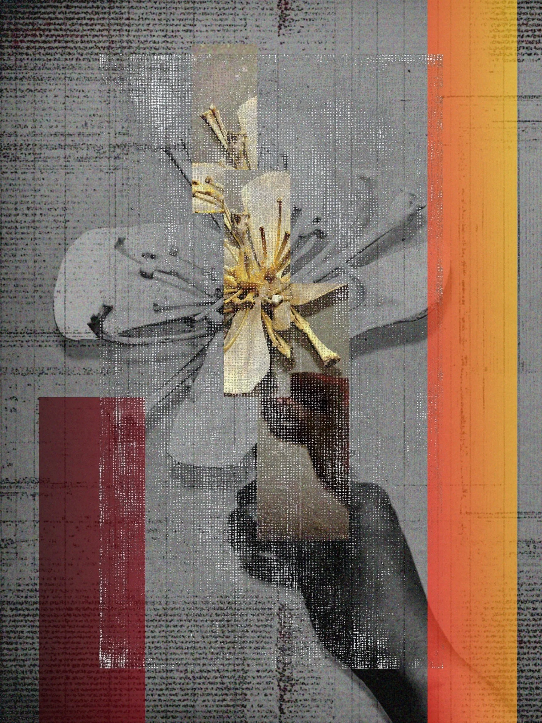 Digital Art by Charity Whan