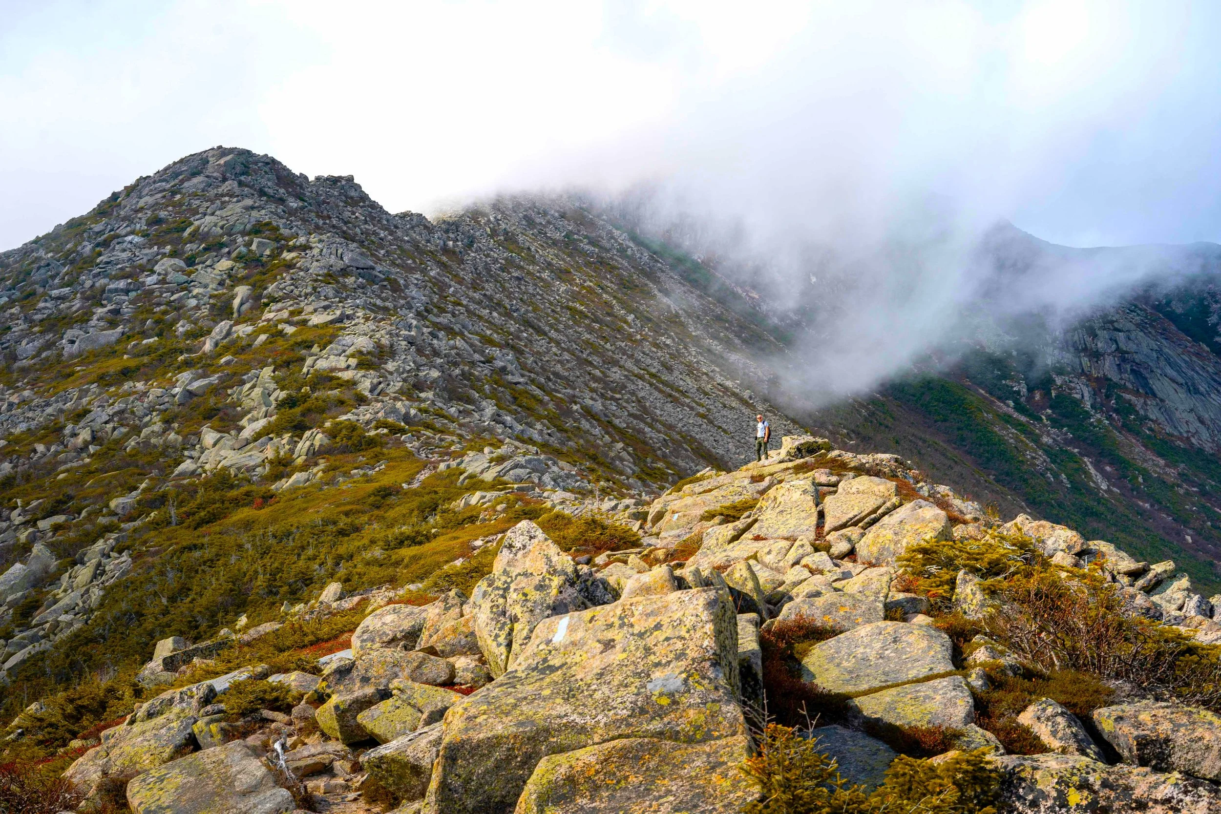 His Father’s Ashes