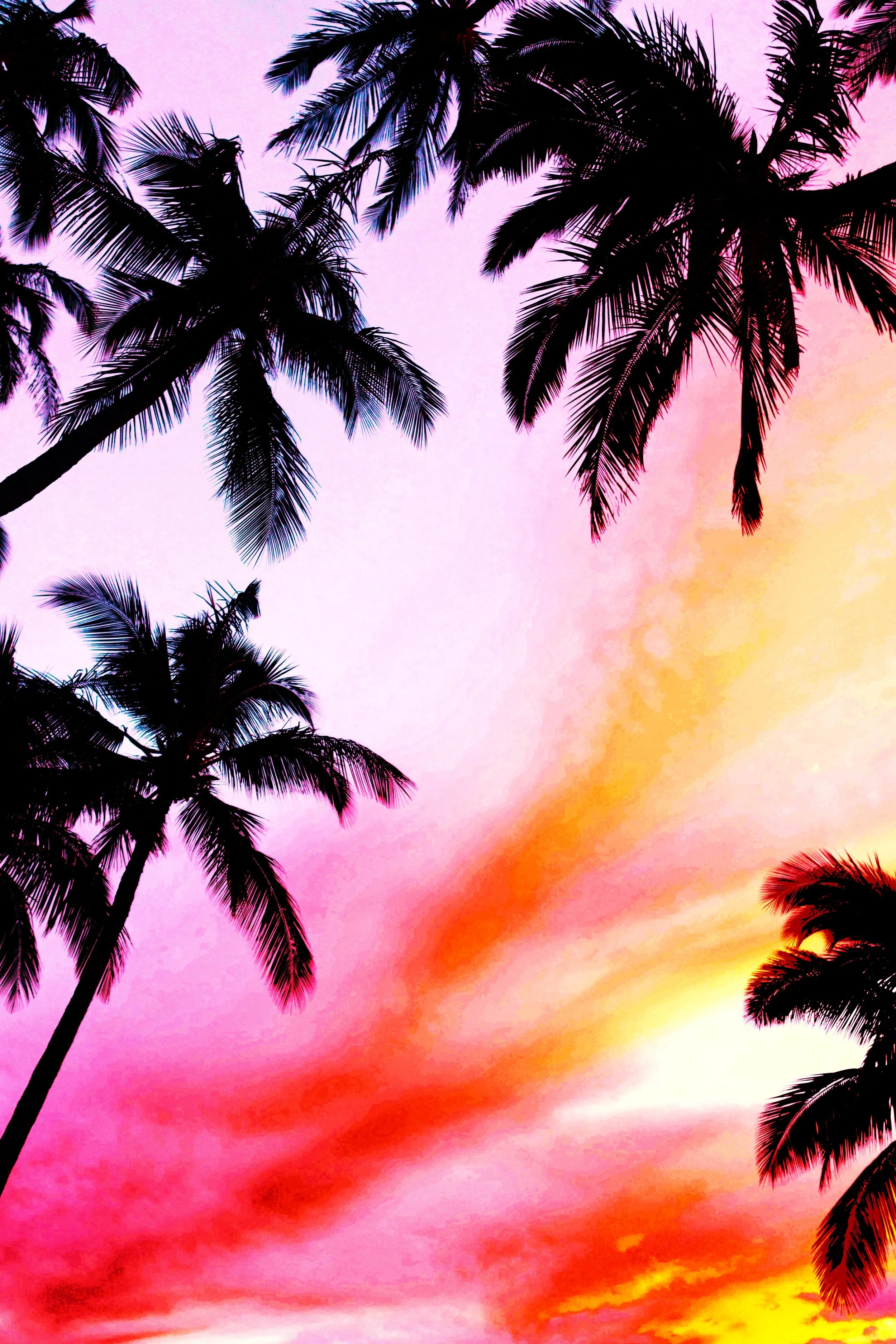 Party in Tiltsville, Florida