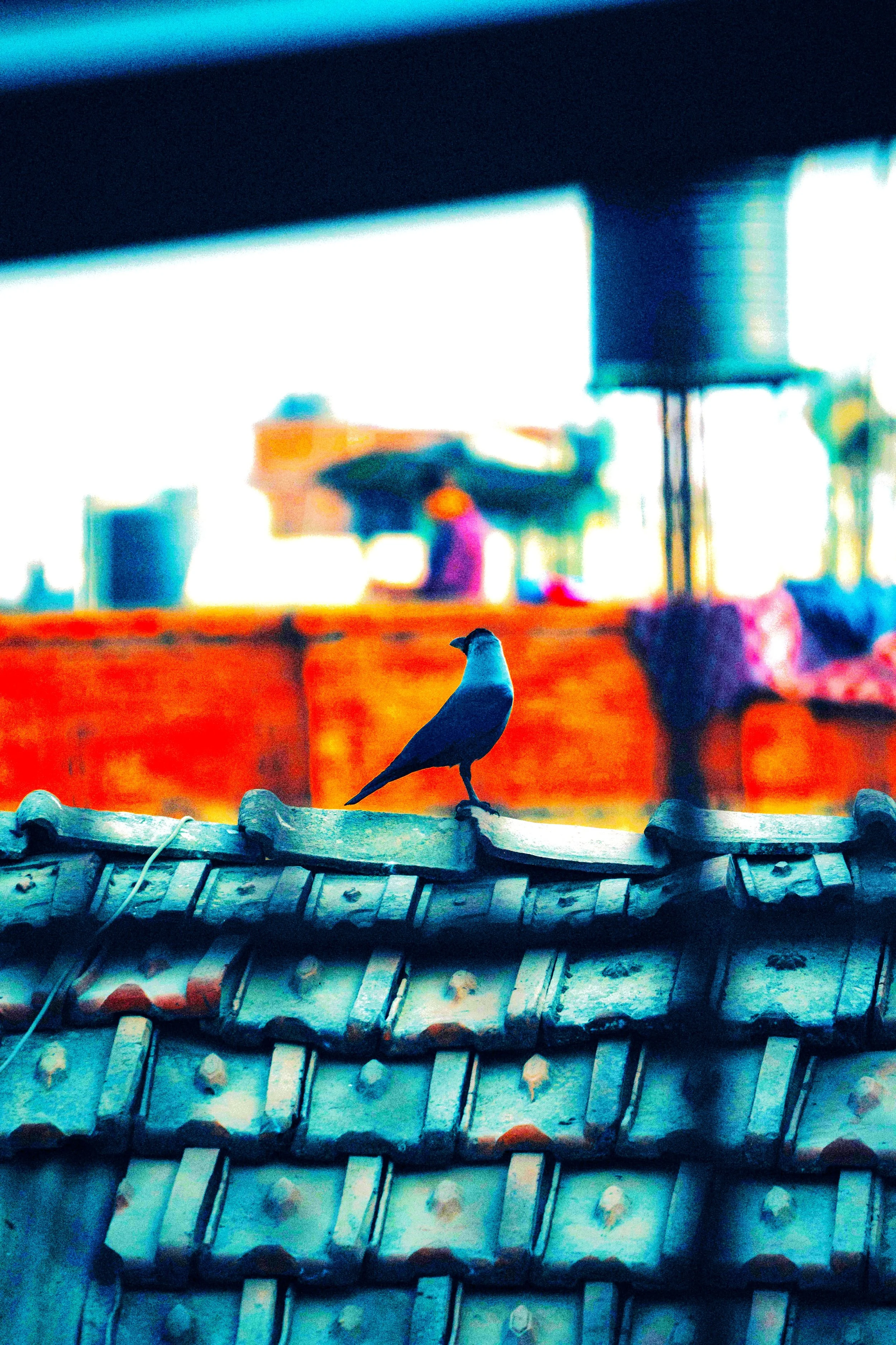 Five Poems