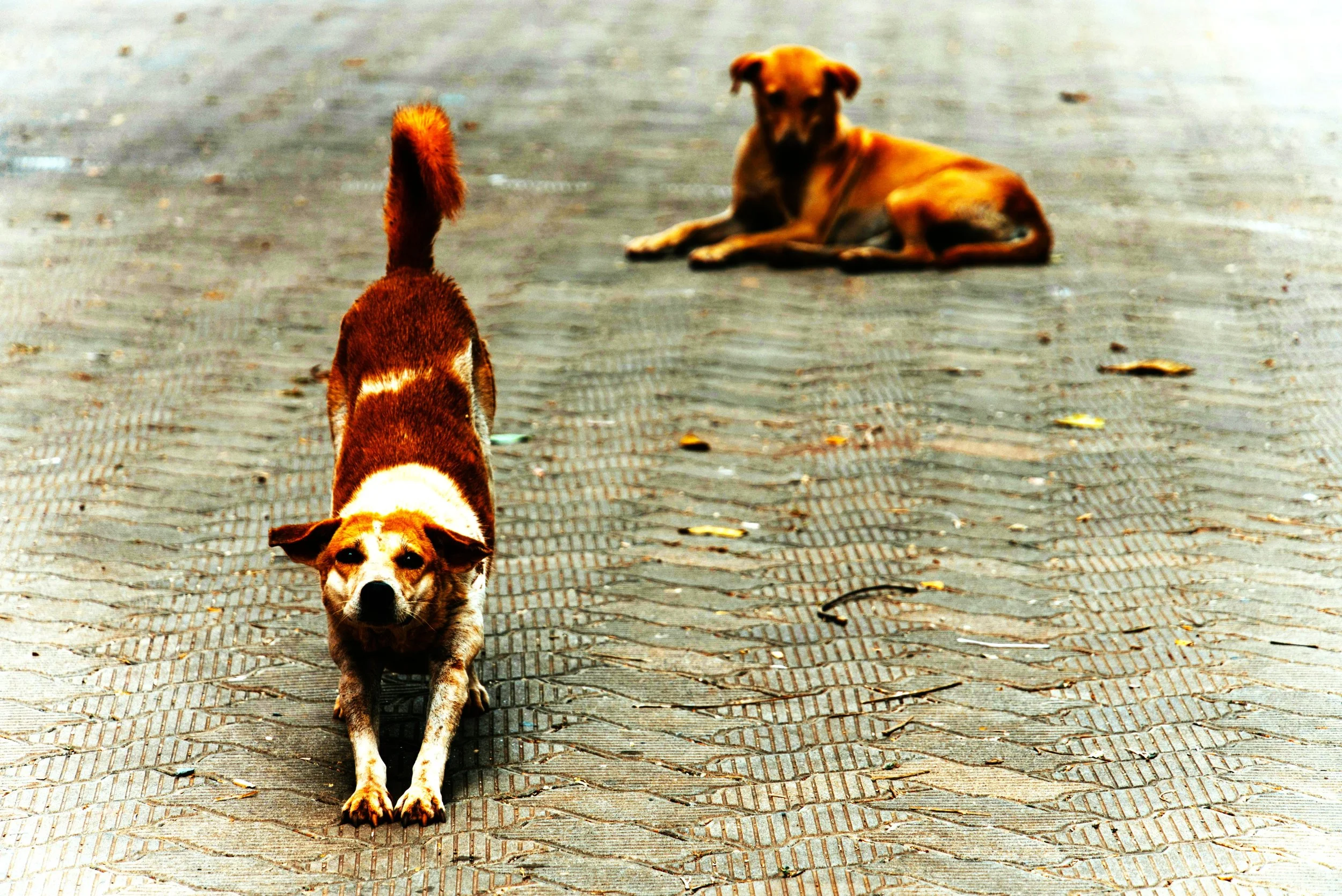 Two Poems