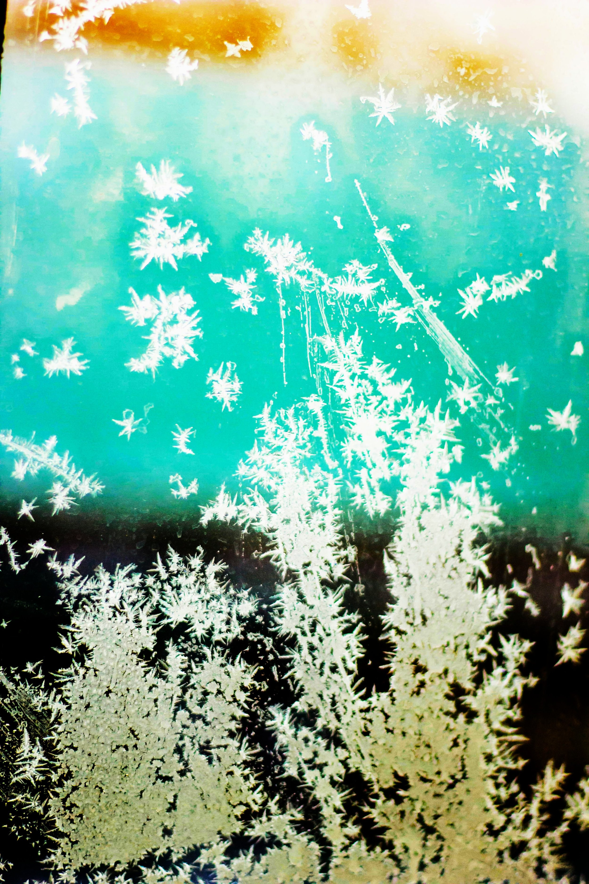 Snow Gate