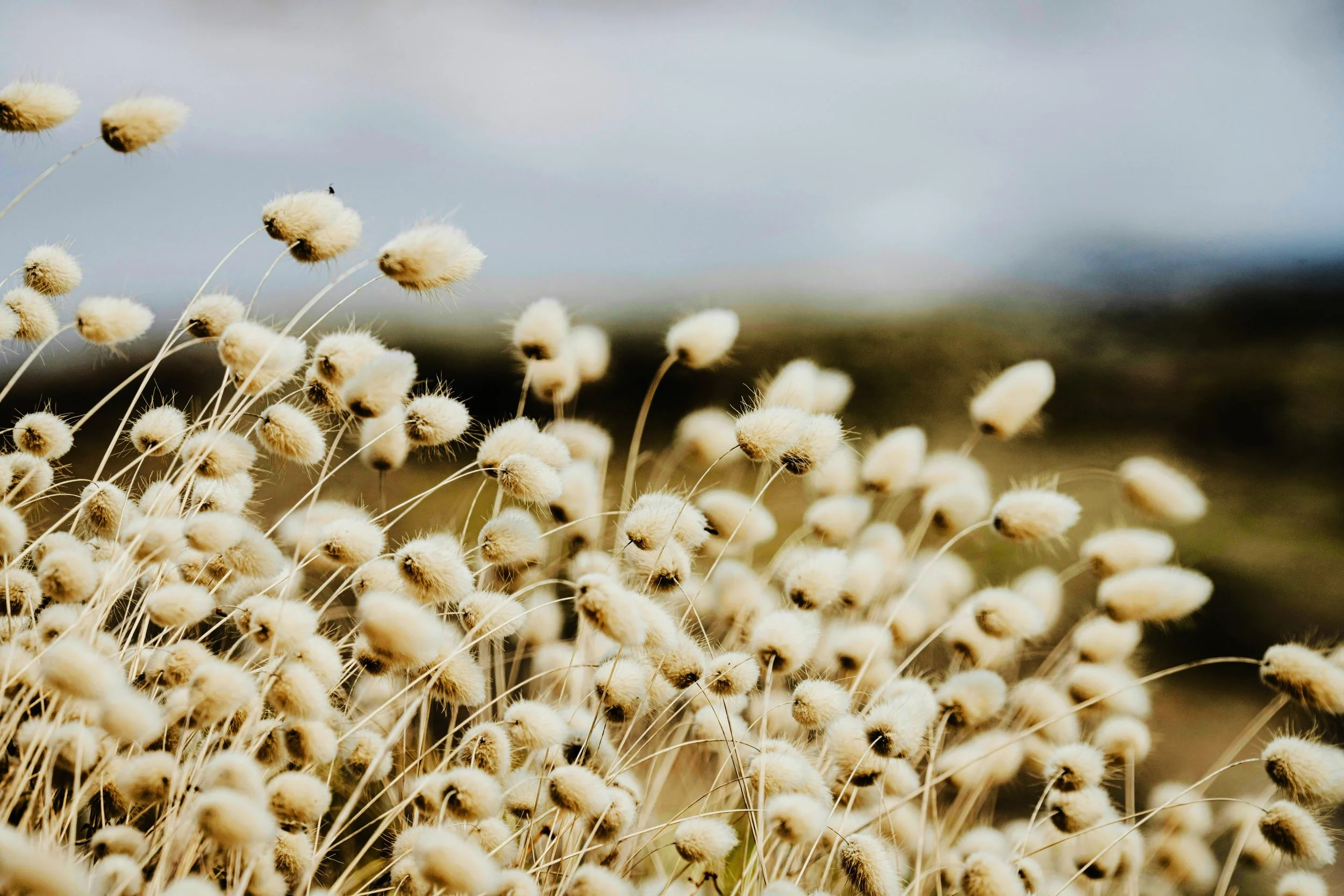 Two Poems