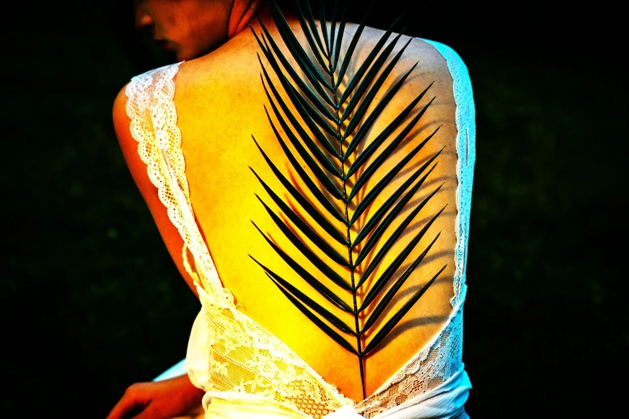 The Palm Frond Nightie