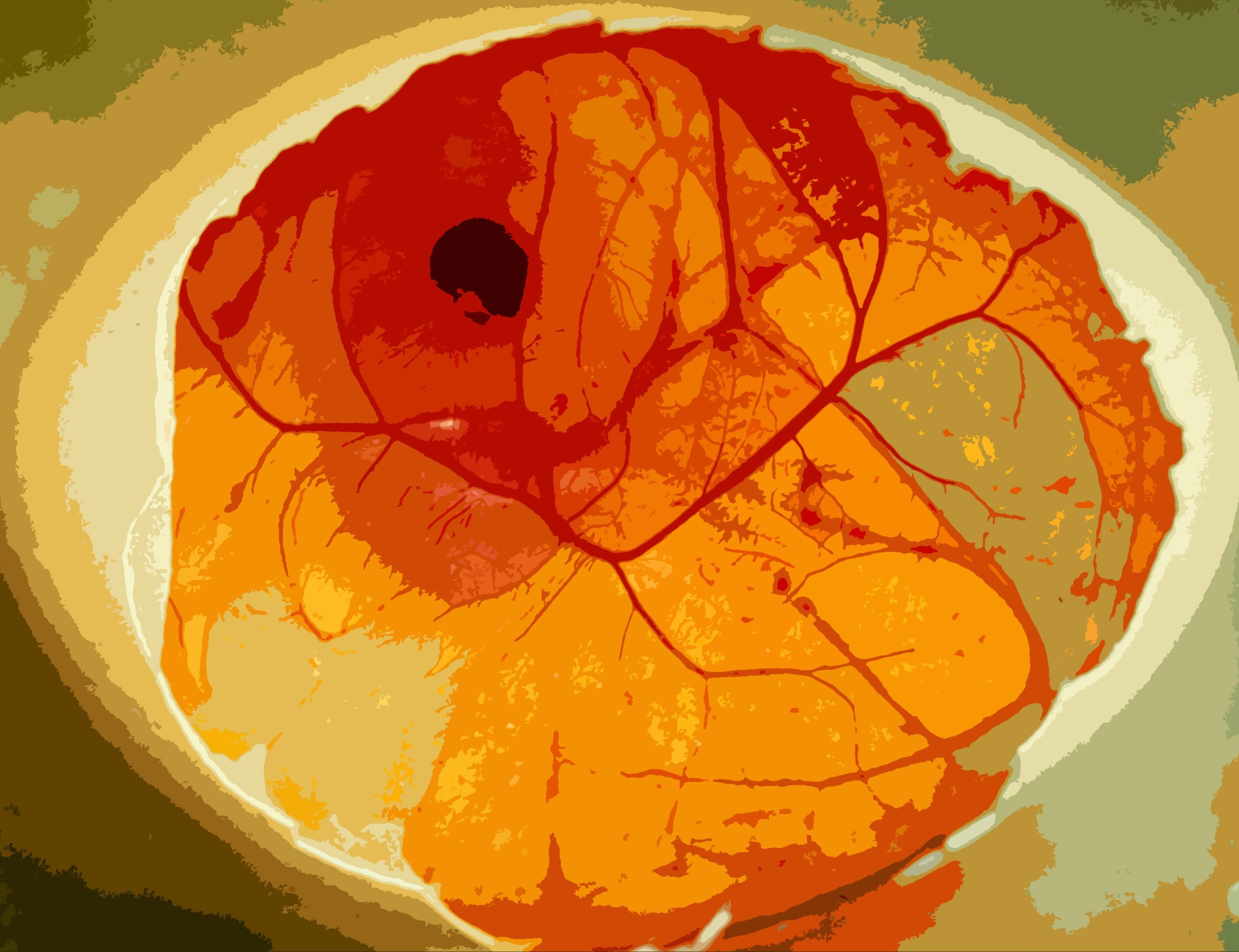 Digital Art by Willy Conley