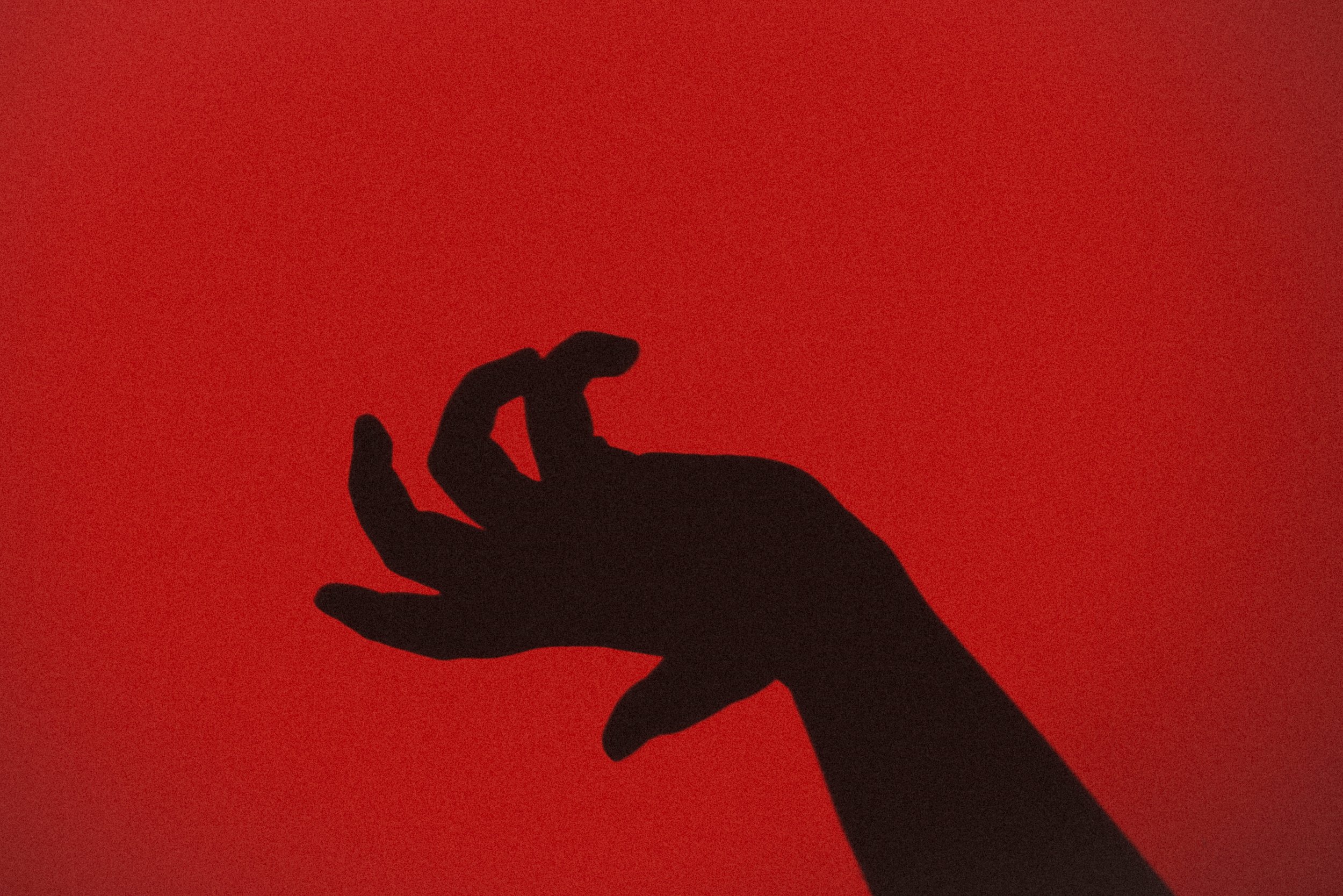The Notion of Limbs