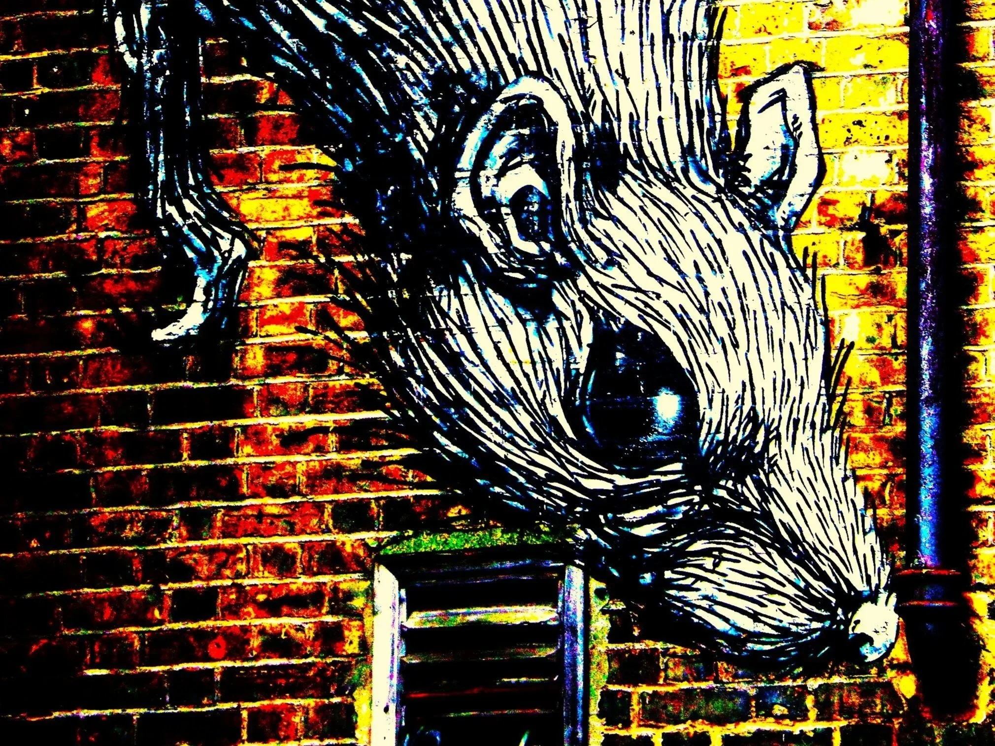"The Dream of a Blind Mole-Rat Draught Excluder" (poetry)
