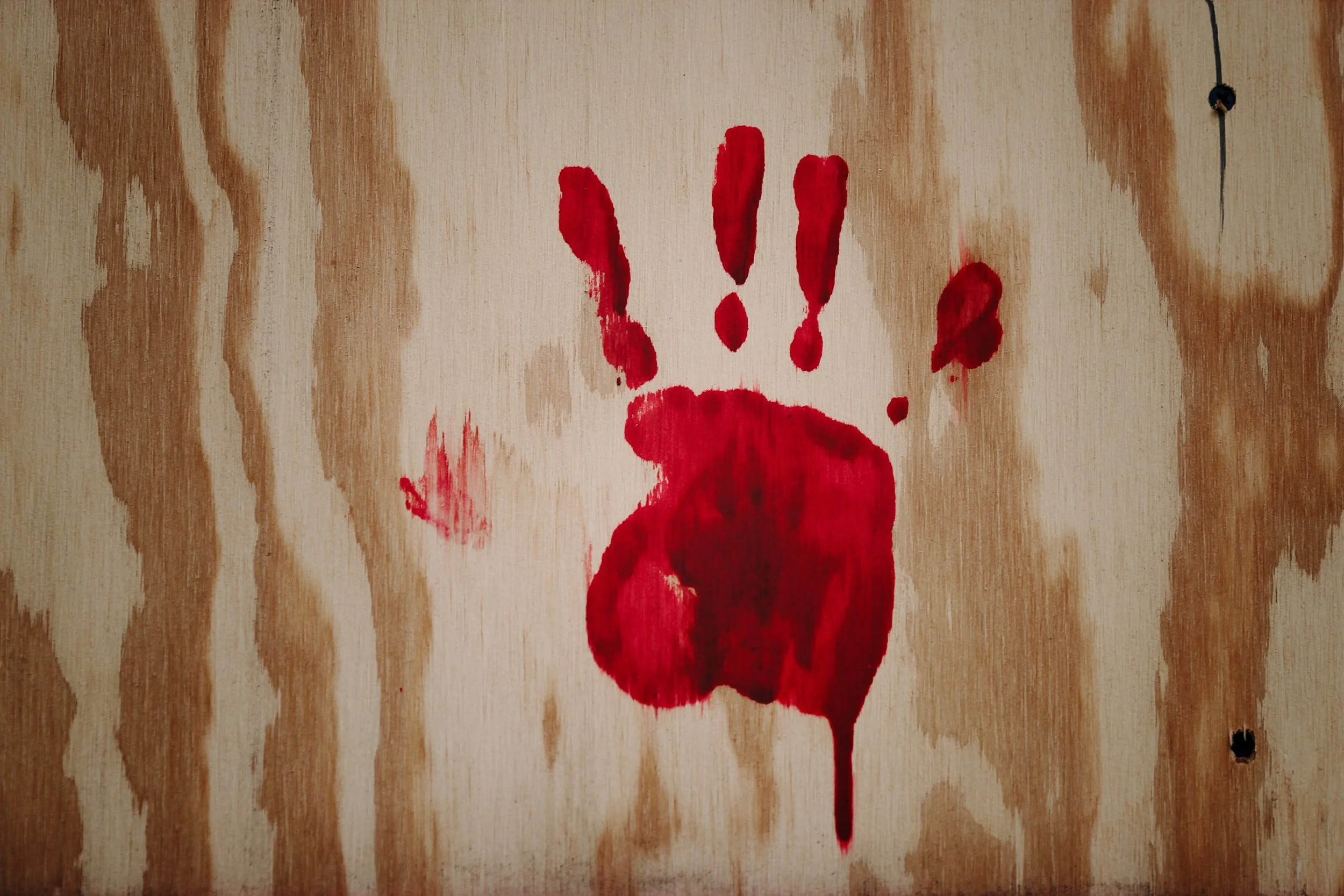 Color photo of bloody handprint on plywood (Photo by Jon Tyson on Unsplash)