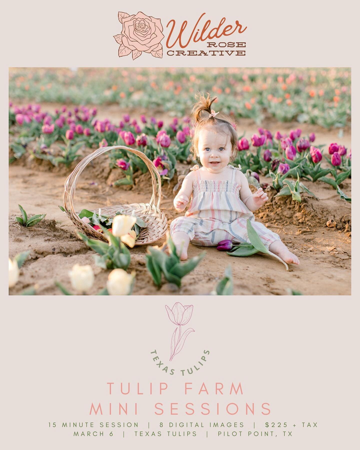I&rsquo;m doing a pop-up Tulip Farm mini session date next Monday! Just in time for Easter photos with your crew! 🌷 💐 

Wilderrosecreative.com/mini-sessions 

Also: photo credit here to @amandadavisphotography from last year! Since the tulips haven