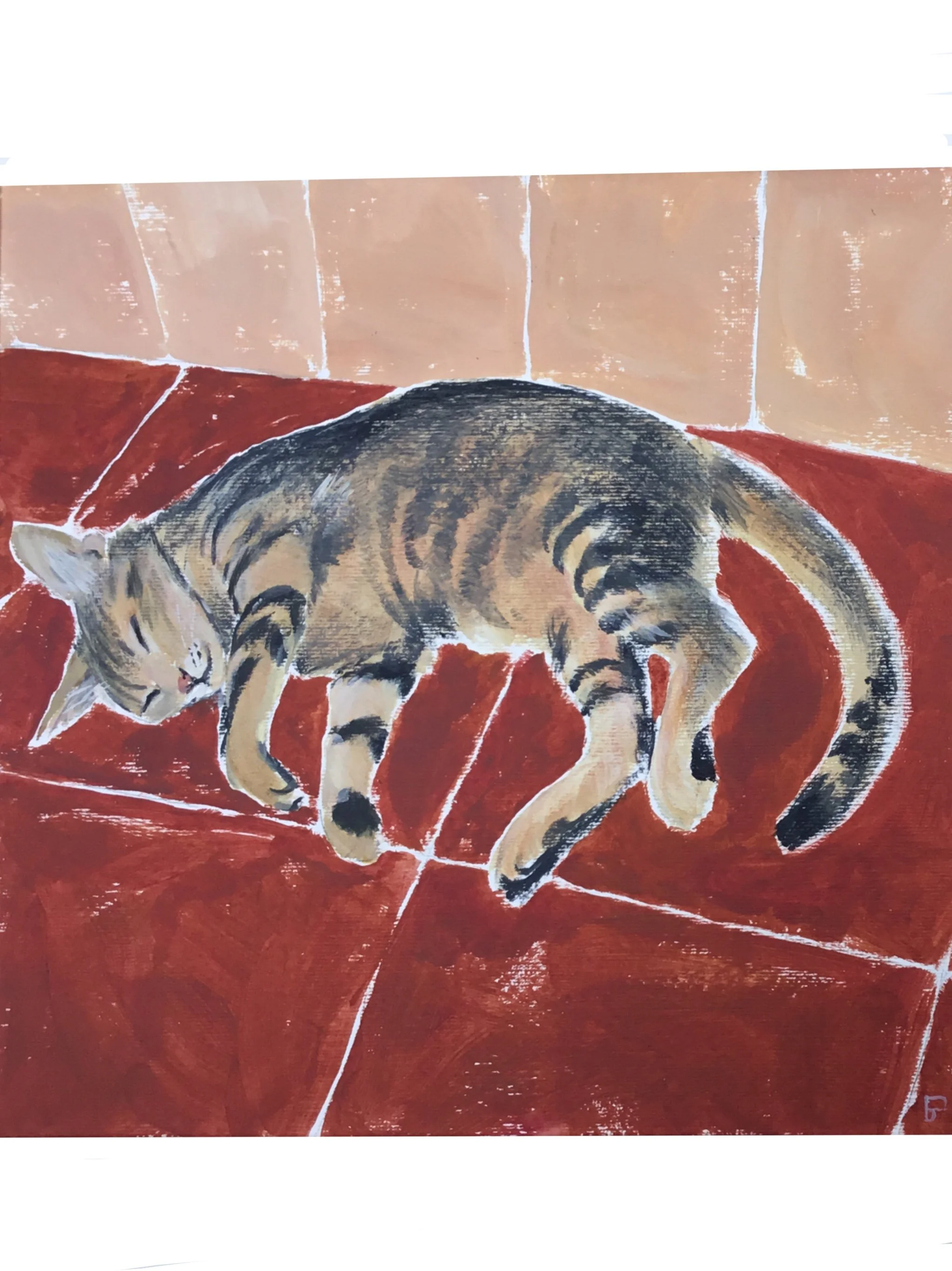 Cat_In_Dogliola.jpg