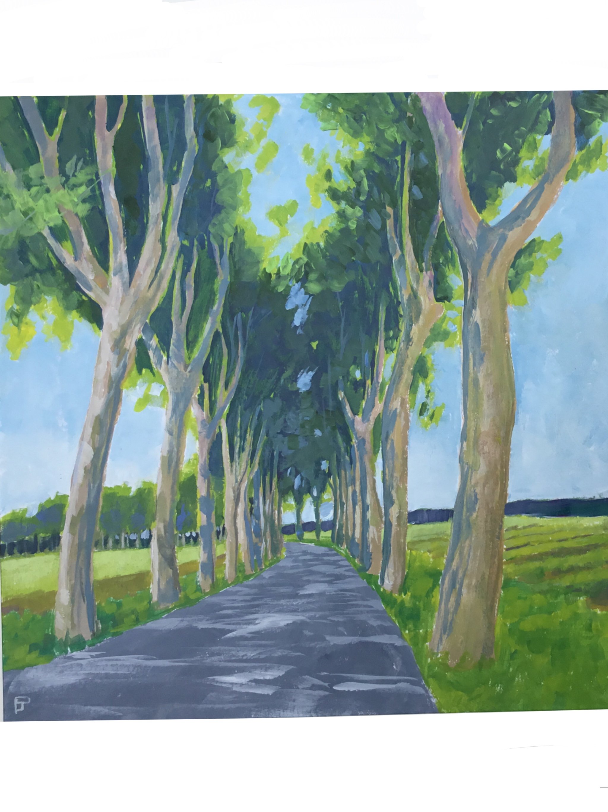 Plane_Trees_Near_Avignon.jpg
