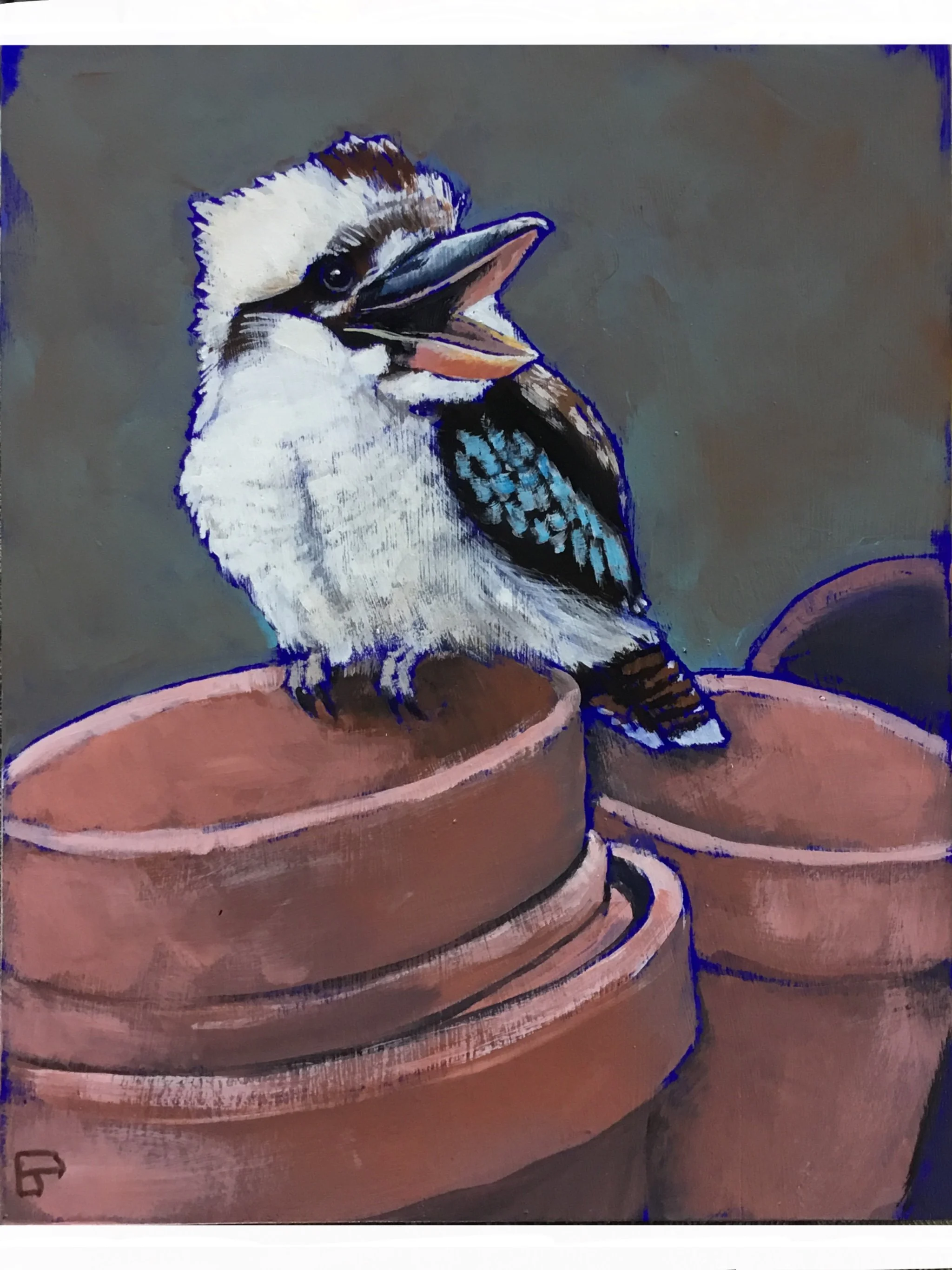 Little Kooka