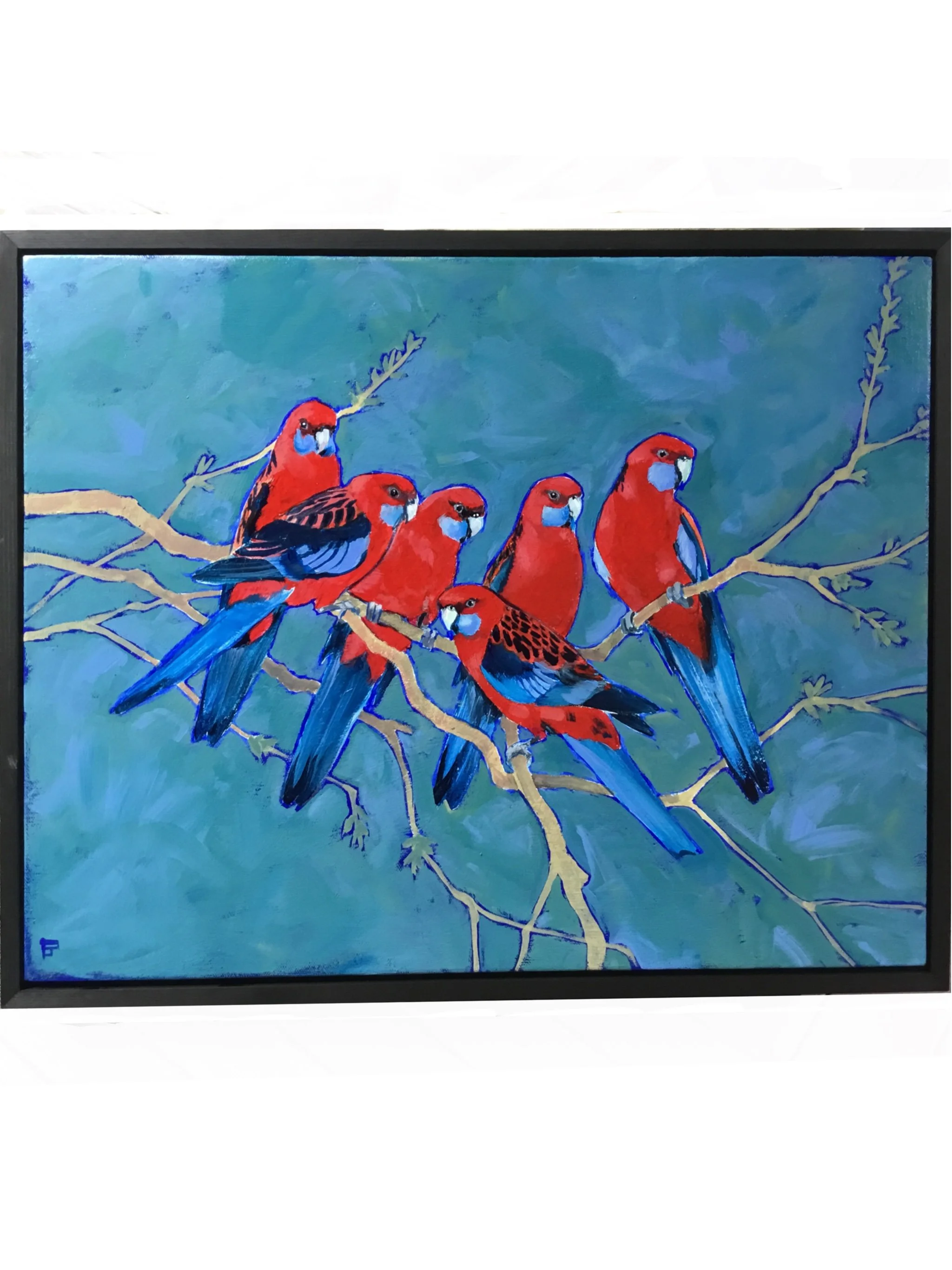 Crimson Rosellas