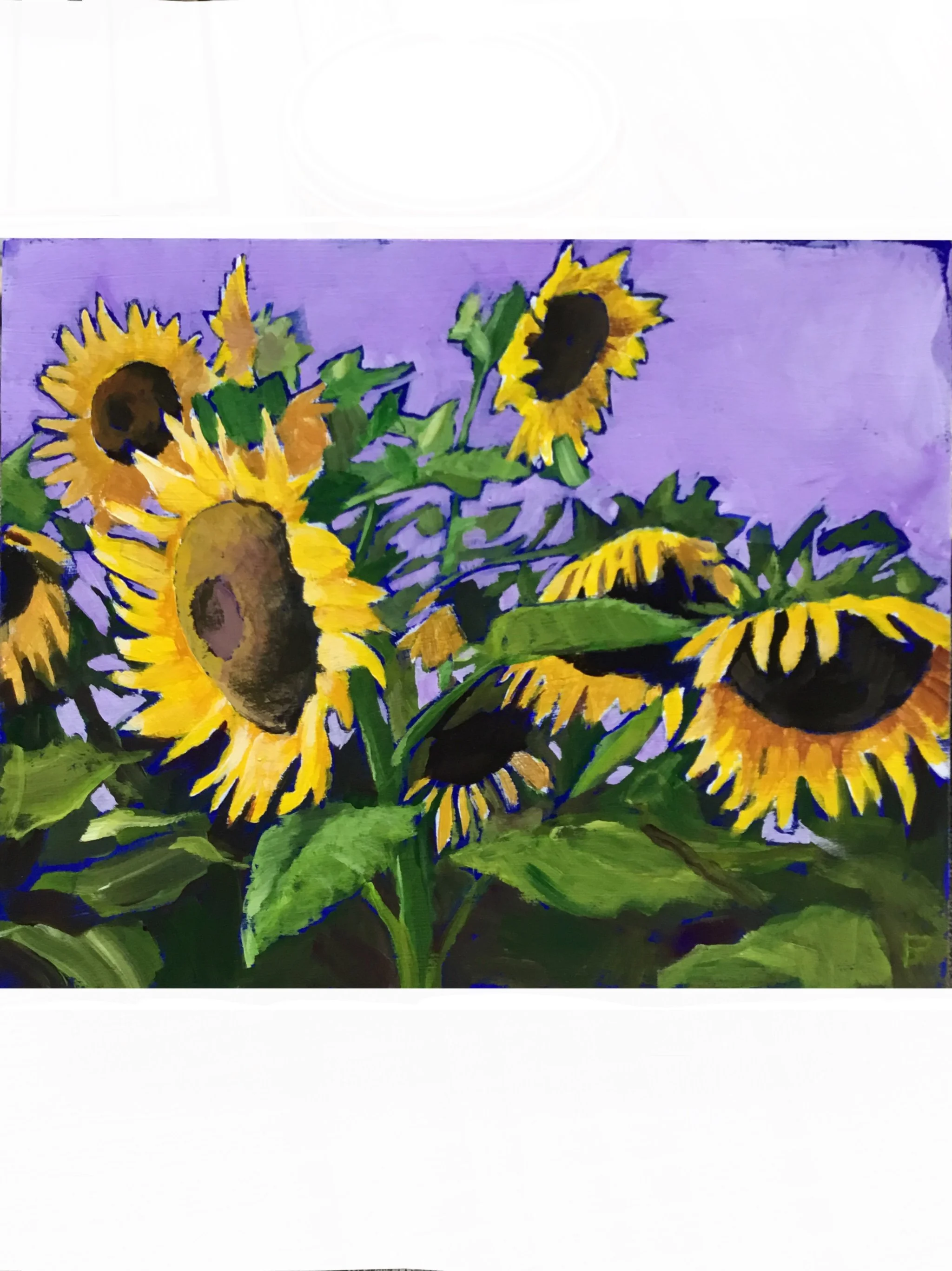 Community Garden Sunflowers