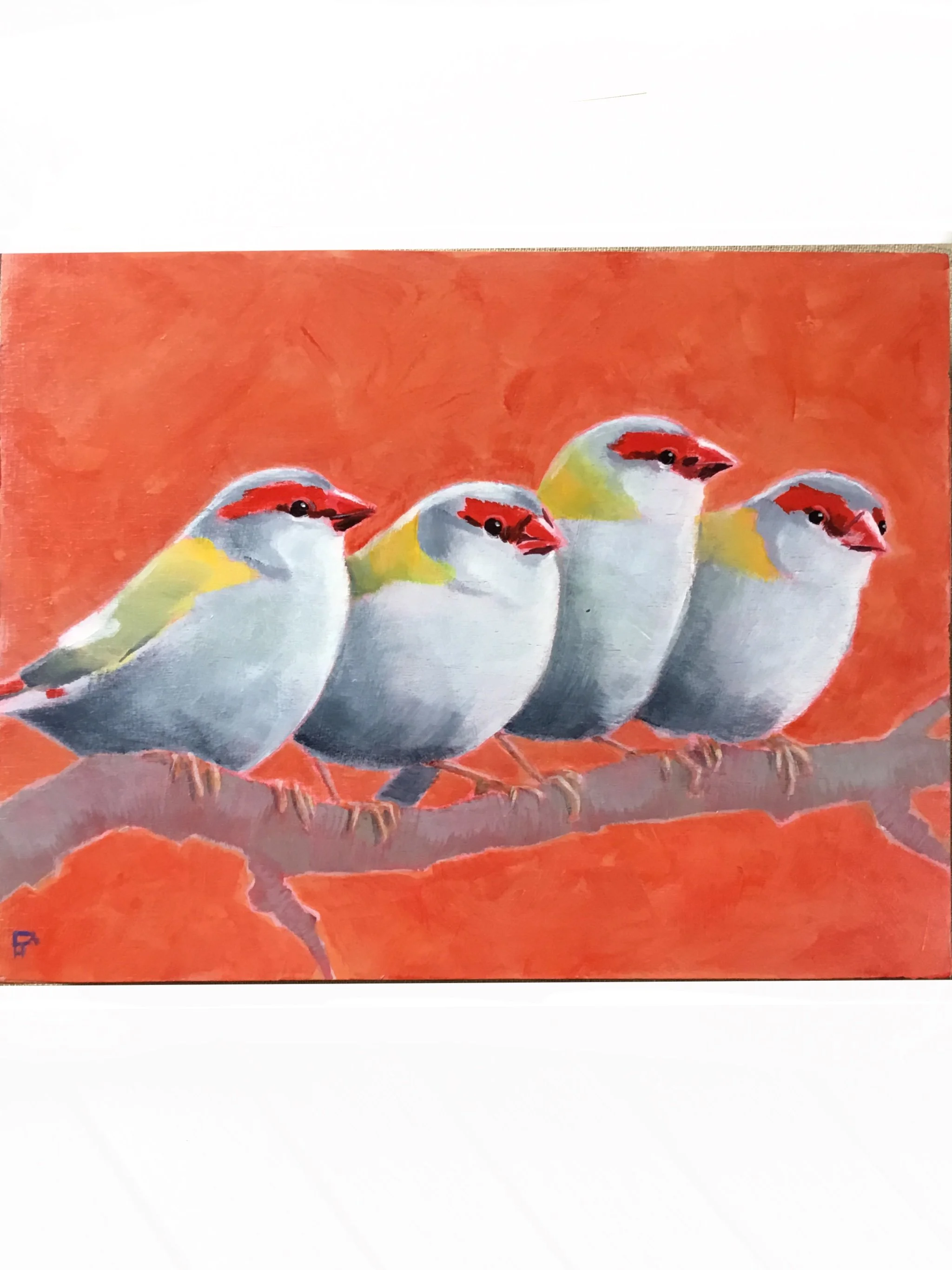 Four Fire Finches