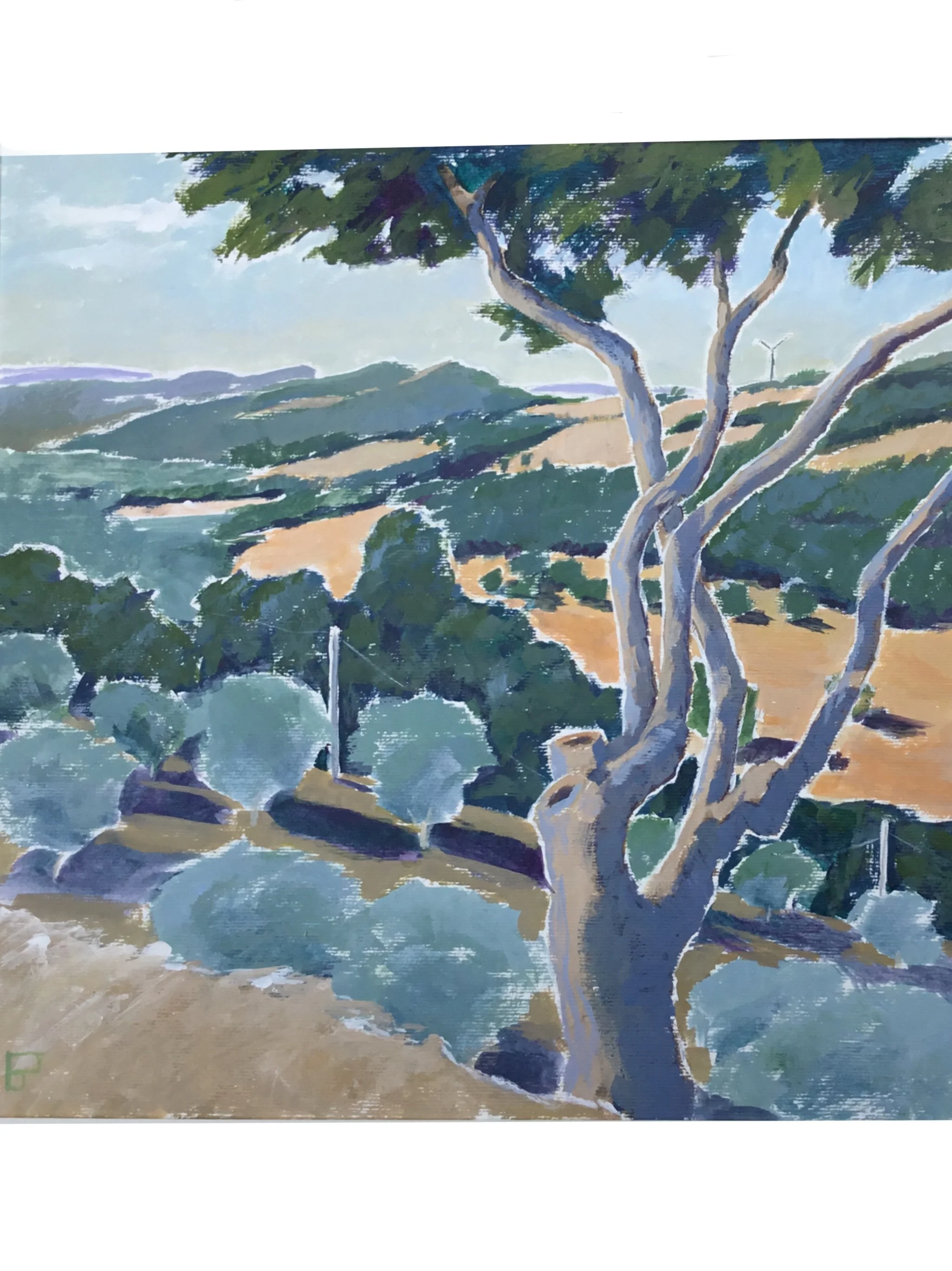 View_Across_The_Valley,_Palmoli.jpg