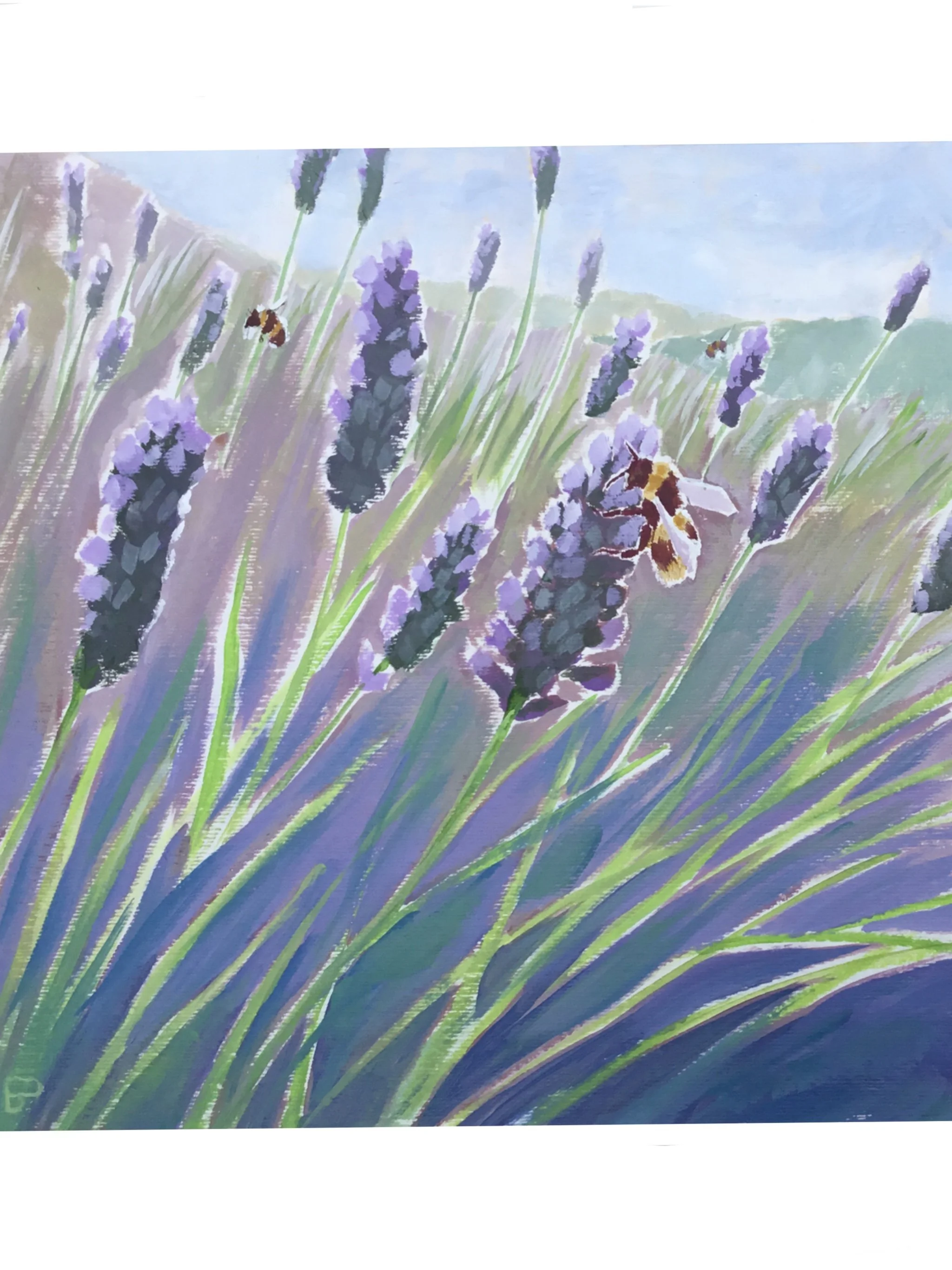 Bumble_Bees,_Palmoli.jpg
