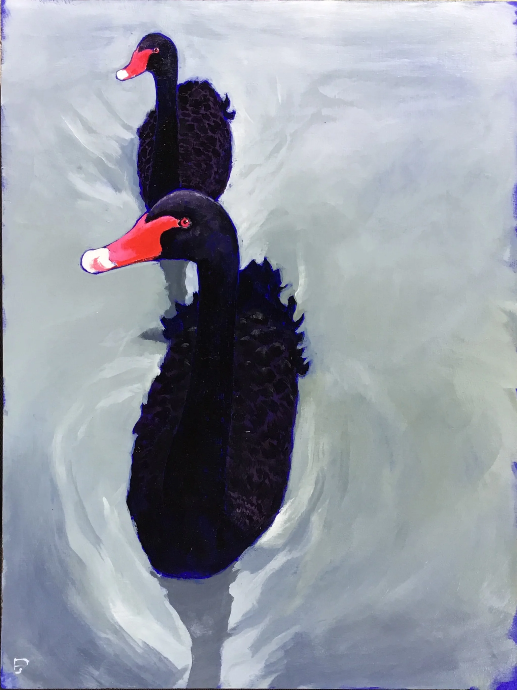 Black_Swans_Study.jpg