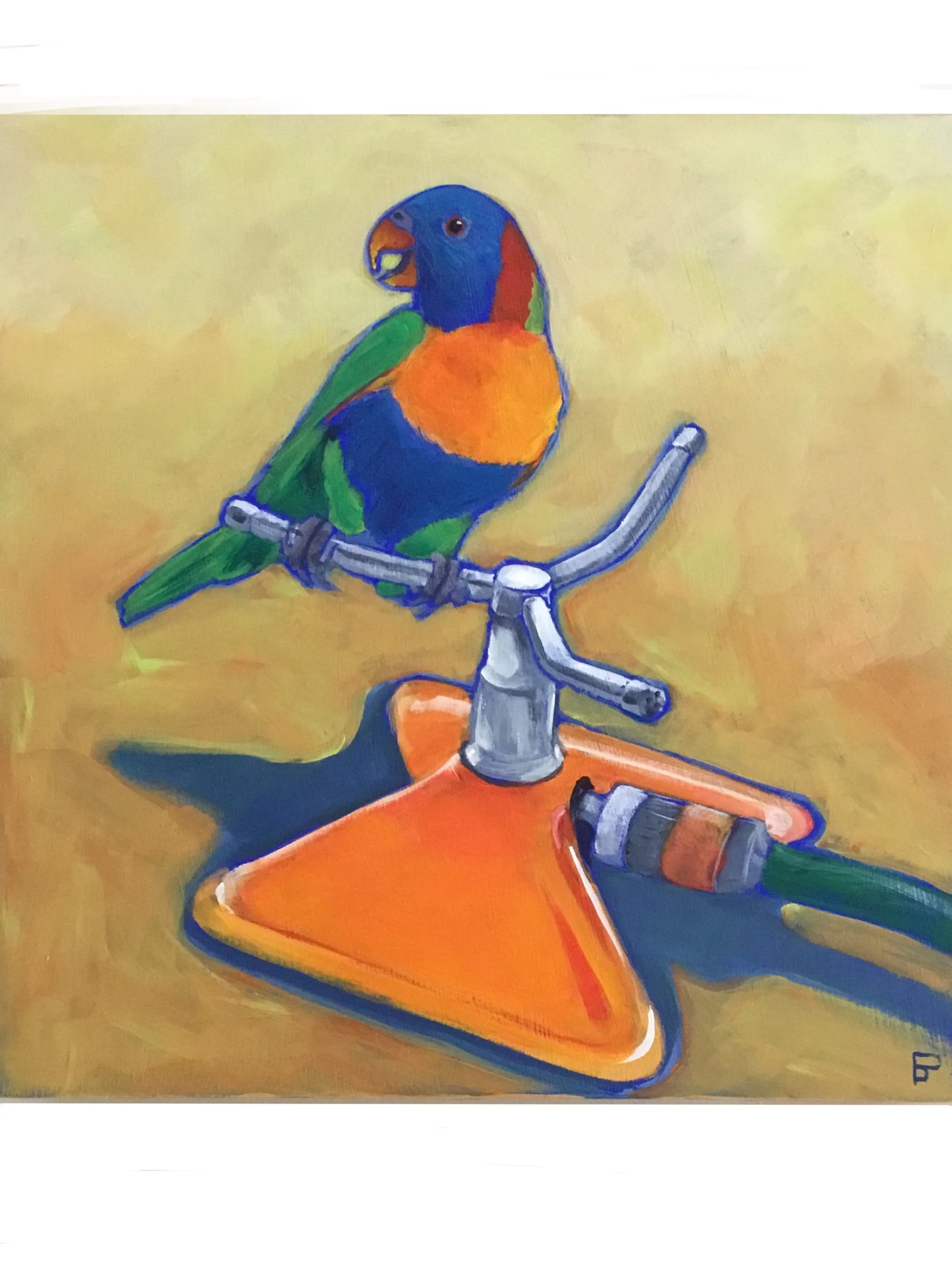 Rainbow Sprinkler.jpg