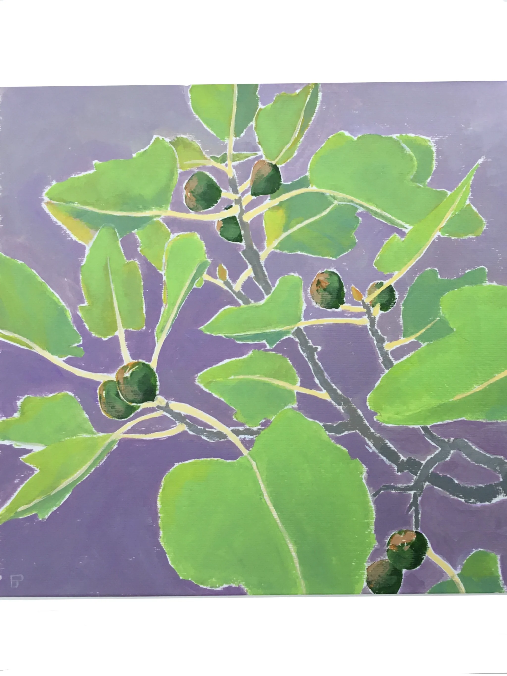 Figs,_Palmoli.jpg