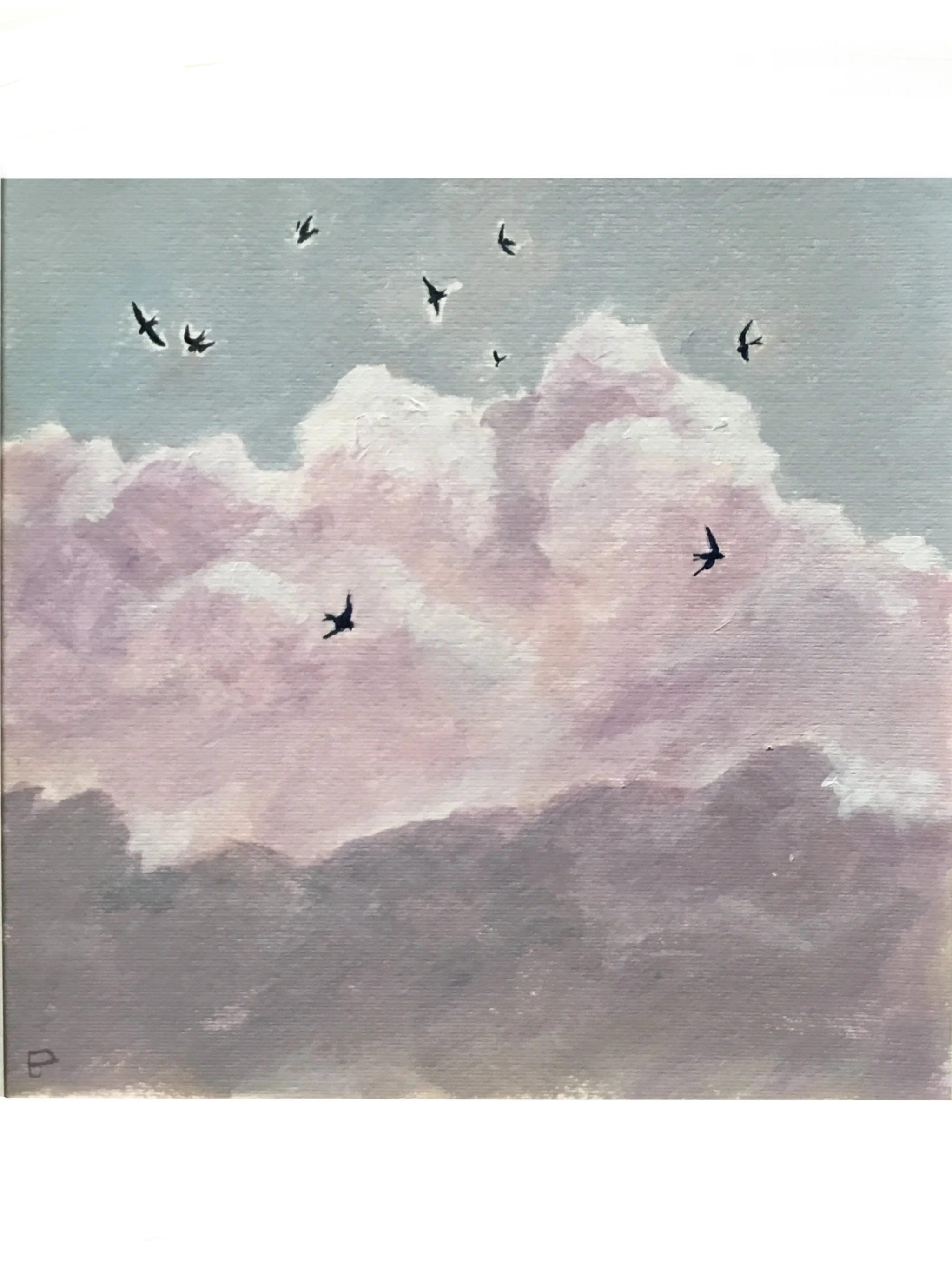 Storm_Swallows,_Palmoli.jpg