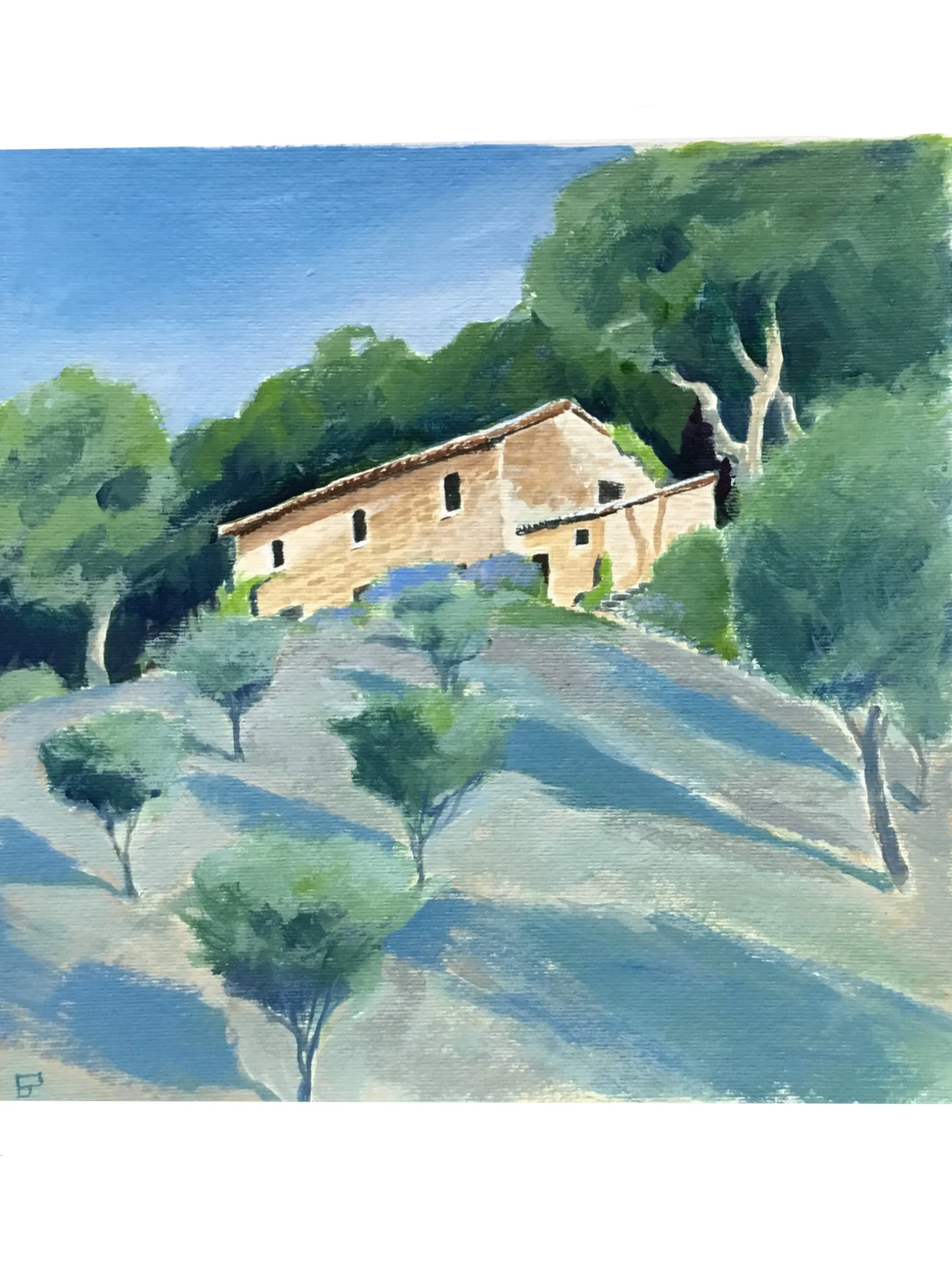 Palmoli,_6am.jpg