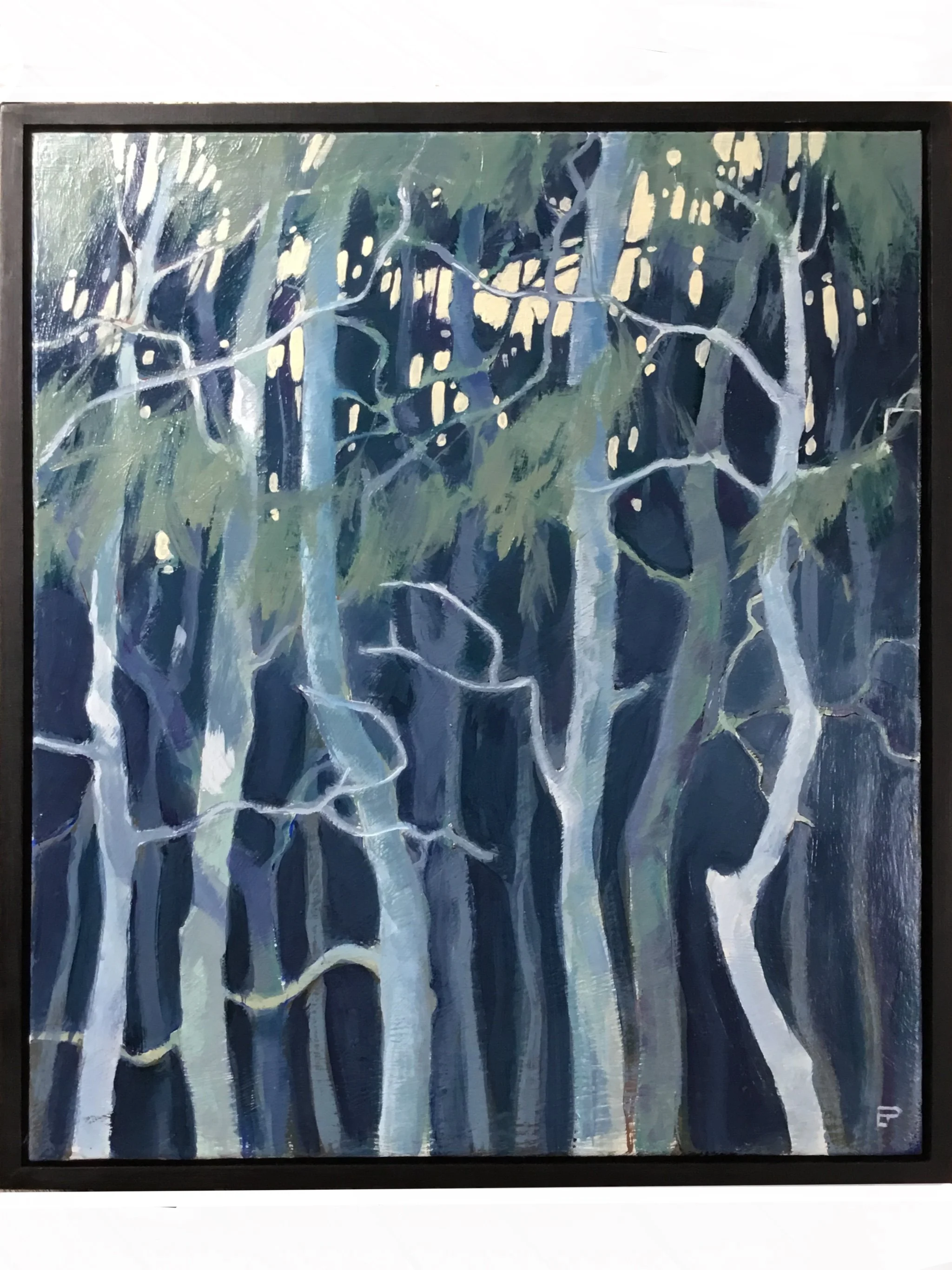 Light Through the Trees.jpg