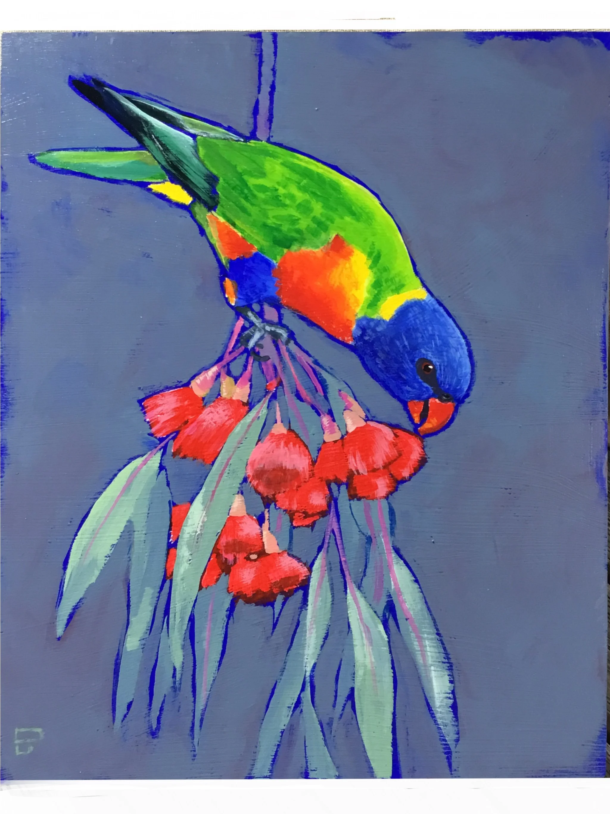 Rainbow Lorikeet (ON HOLD)