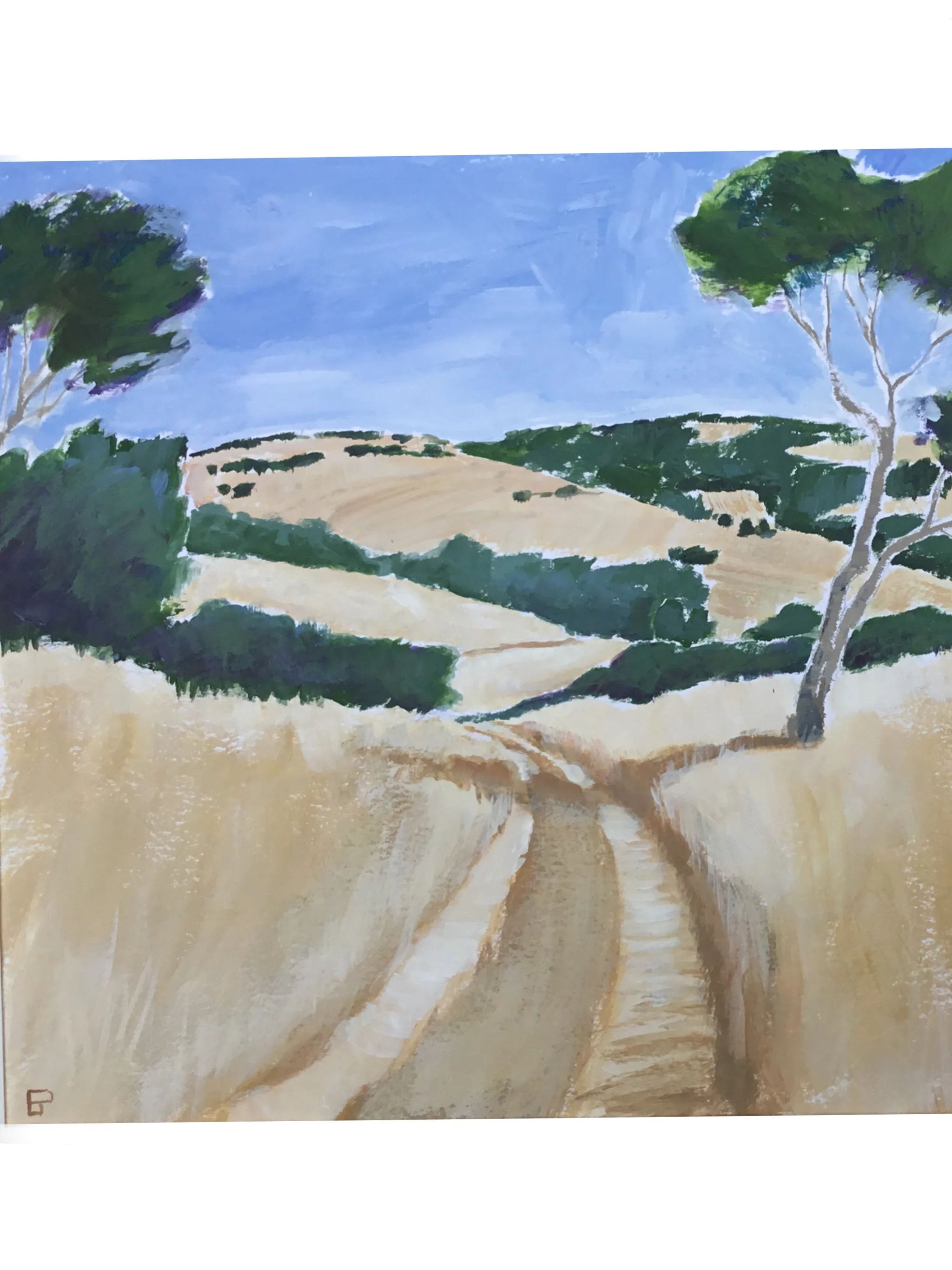 Farm_Track,_Palmoli.jpg