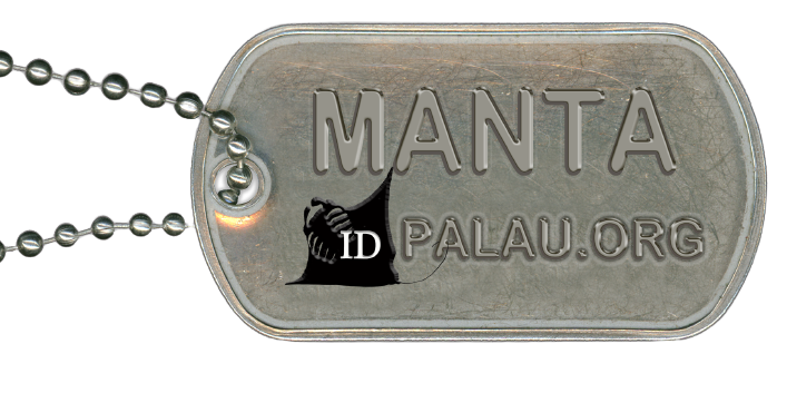 Manta ID Palau