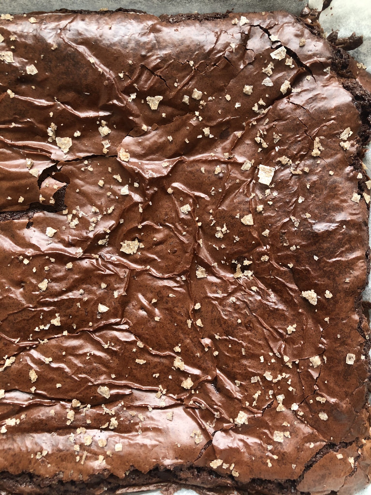 Brownie.jpg