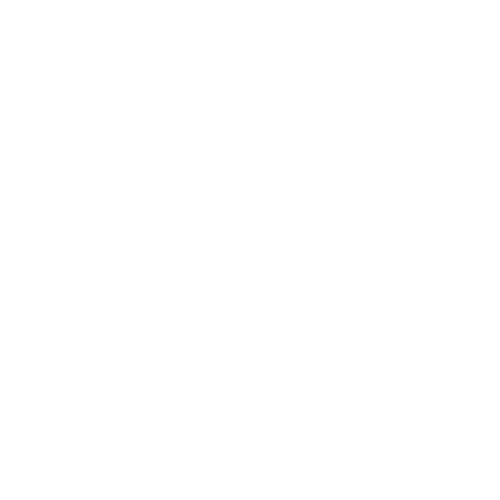 Bodies By Ryan Logo (white)