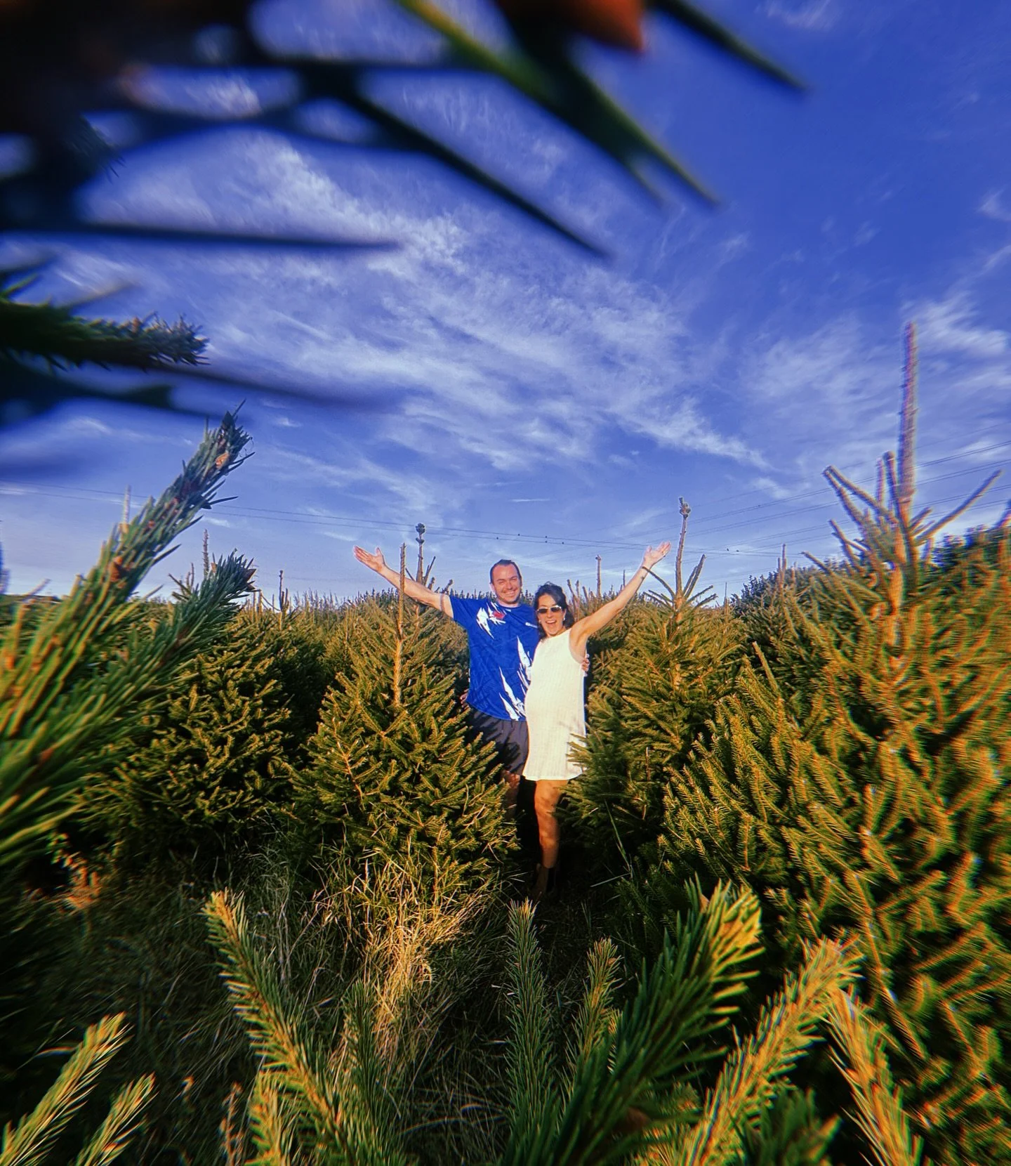 Hey, long time no speak! 👋 

We are coming out of our Summer hibernation and we have some exciting updates! 

✨ FINALLY we will be selling from the Christmas tree field, yipee!! We can&rsquo;t tell you how excited we are about this! Our new shed wil
