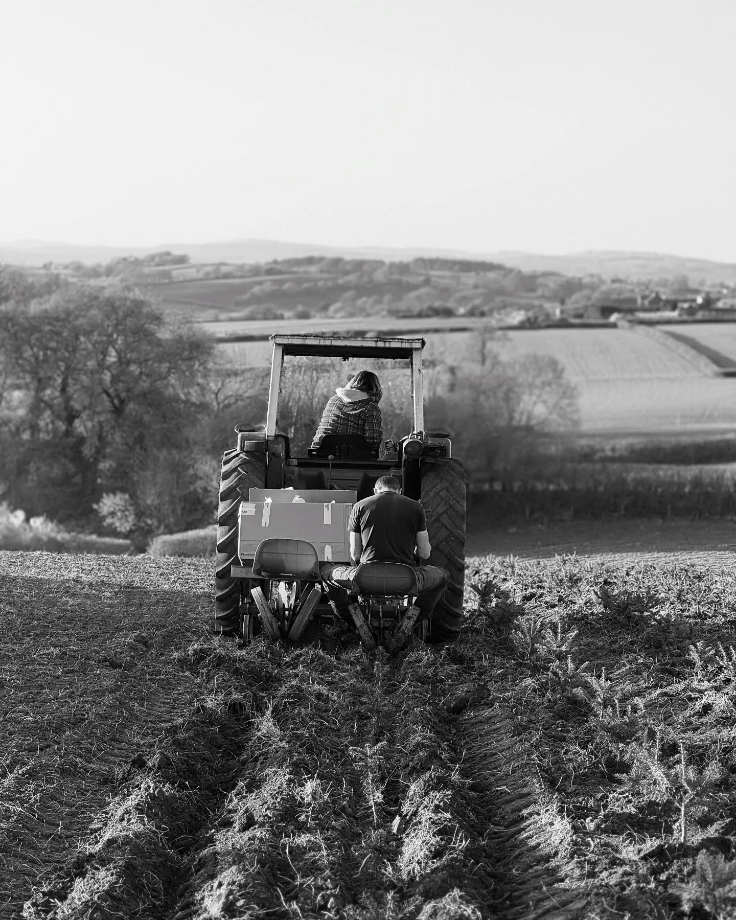 Another year of planting on @cowbridgechristmastreefarm 🌲 and thankfully we&rsquo;ve had a bit of decent weather to do it!

We have over 15,000 trees planted now 😱 ✨