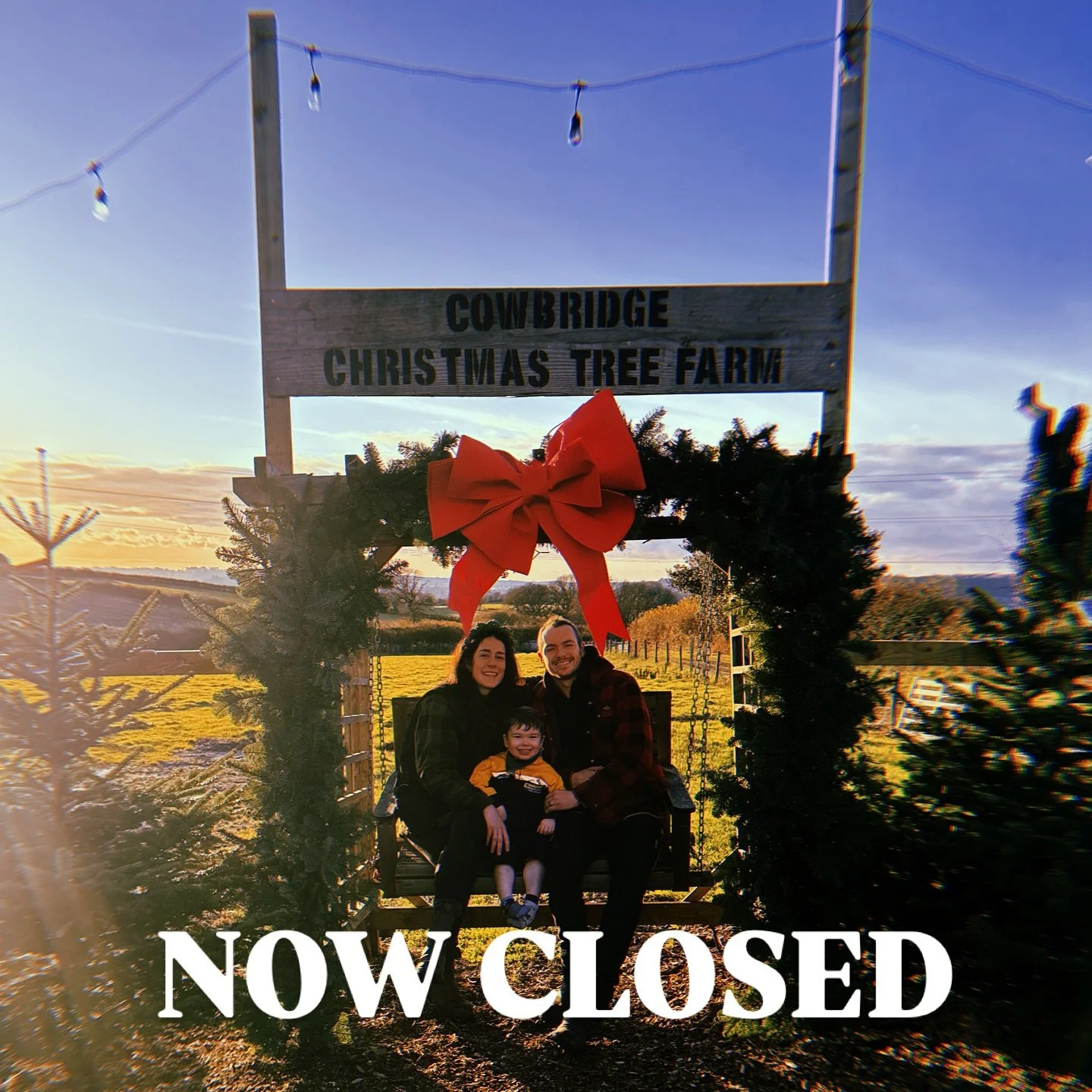 A HUGE thank you to everyone who visited us this season! We are so grateful to you all, old faces and new!

Cowbridge Christmas Tree Farm is now closed for the season. We have a handful of trees left so if you are desperate, send us a message and we 