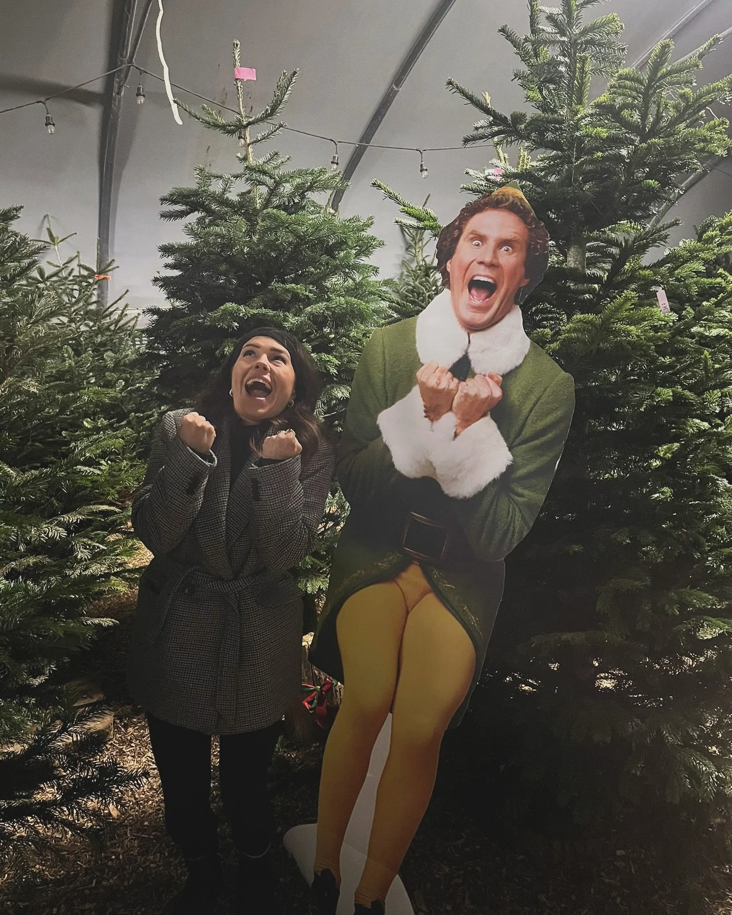 I think we need to run a competition for best Buddy the Elf impression 😆 

We&rsquo;re open 9AM - 7PM! See you soon 👋 

#cowbridge #cowbridgelife #cowbridgechristmastreefarm #christmas #christmastree #realtree