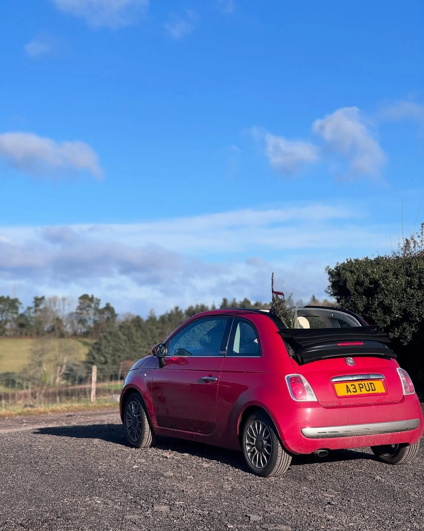 Thank you guys! We have been blown away with all the kindness since we&rsquo;ve had since the storm! Lots of you have checked in and shown up to support us today! 

The highlight was watching @pudpenny drive off with the roof down 😂✨

We&rsquo;ll be