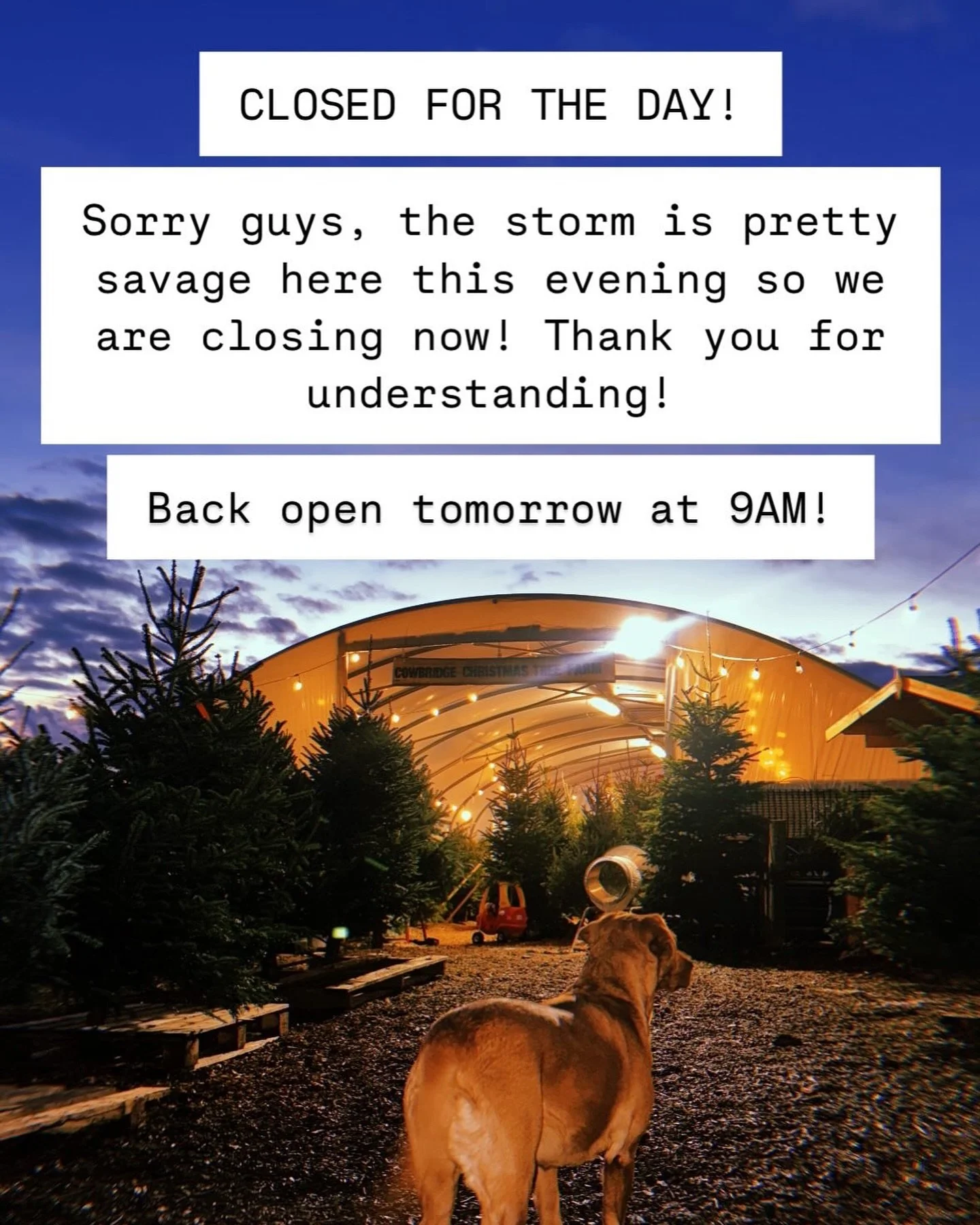 Hey guys! It&rsquo;s pretty wild up here this evening so we have decided to close for the night! Thanks for your understanding! 

Back open tomorrow at 9AM!