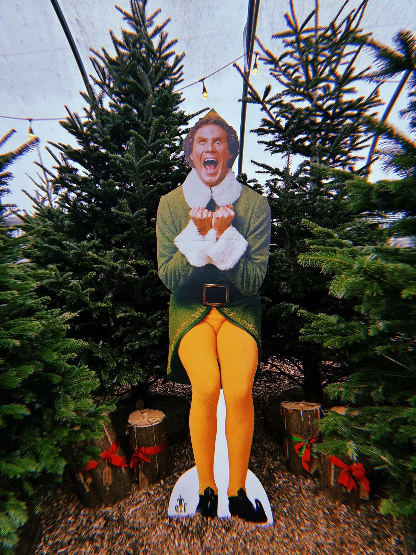 We are THIS excited to be setting up in our new shed this season, swipe to see! 
Only 30 more sleeps till opening weekend π₯³π
#cowbridge #christmastreefarm #christmasincardiff #christmas #christmastree #pyochristmastree #cardiff #valeofglamorgan