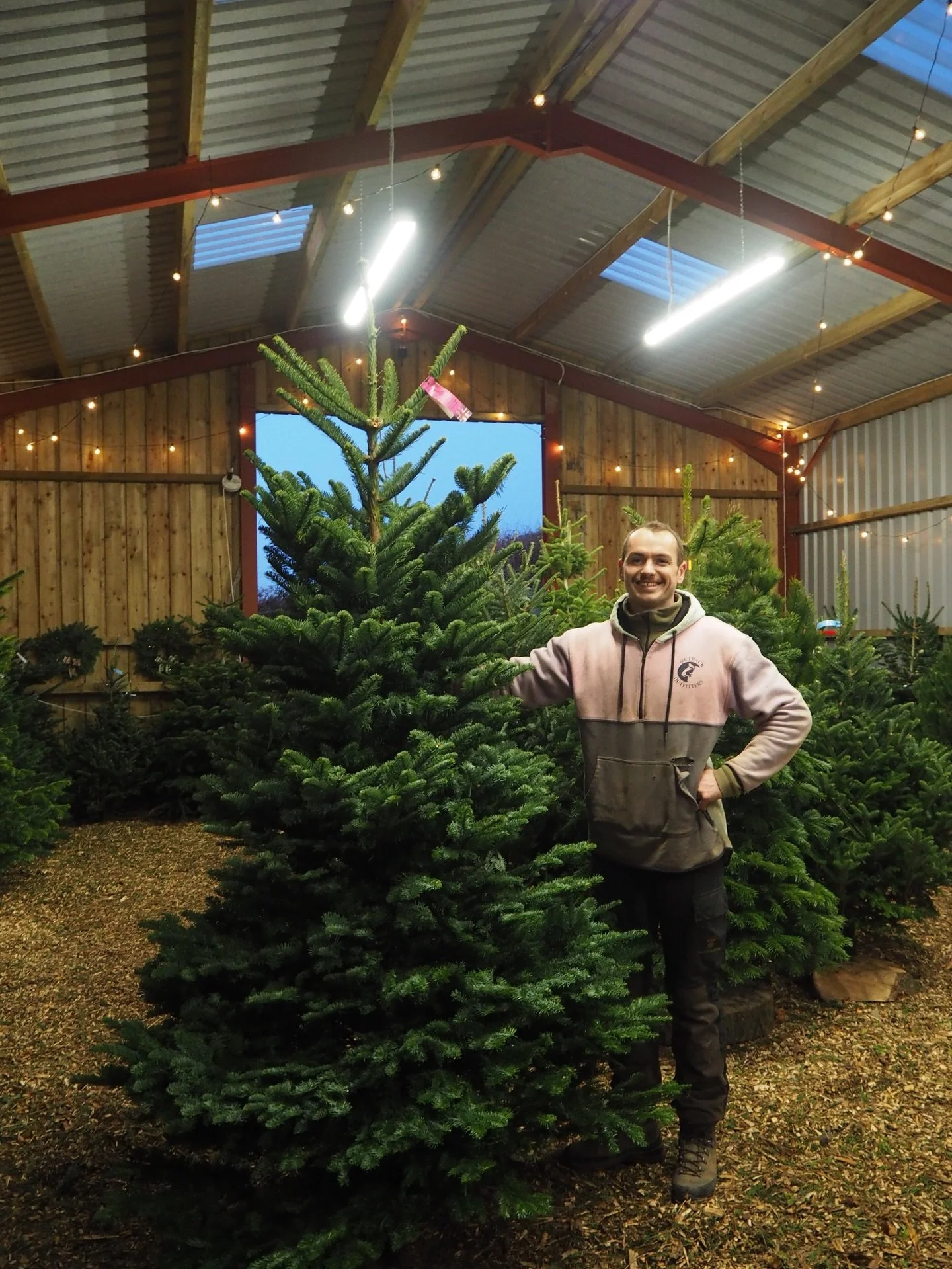 So many lovely trees on display in the Christmas Tree Barn this year! Don&rsquo;t let the weather put you off, we&rsquo;ll be open till 7PM ✨ 

#christmas #christmasincardiff #christmastreefarm #pyo #pickyourown #cowbridge #cardiff #valeofglamorgan