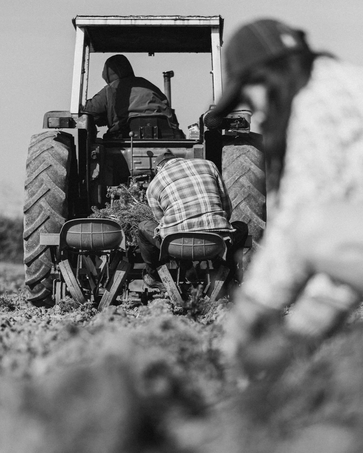 Captured by @trotmanphoto 📸 

#farmlife #christmastreefarm #cowbridge #valeofglamorgan #planting