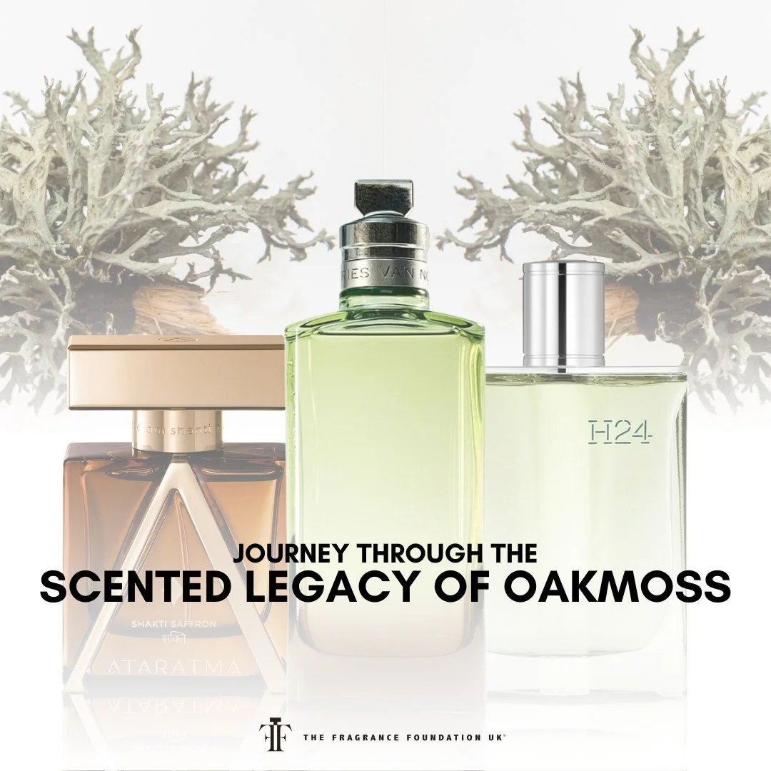 How is oakmoss evolving in perfumery?
Unlock iconic fragrances and emerging cult classics shaped by this timeless ingredient. Today, sustainability and research allow perfumers to explore oakmoss alternatives, offering safe and creative ways to captu