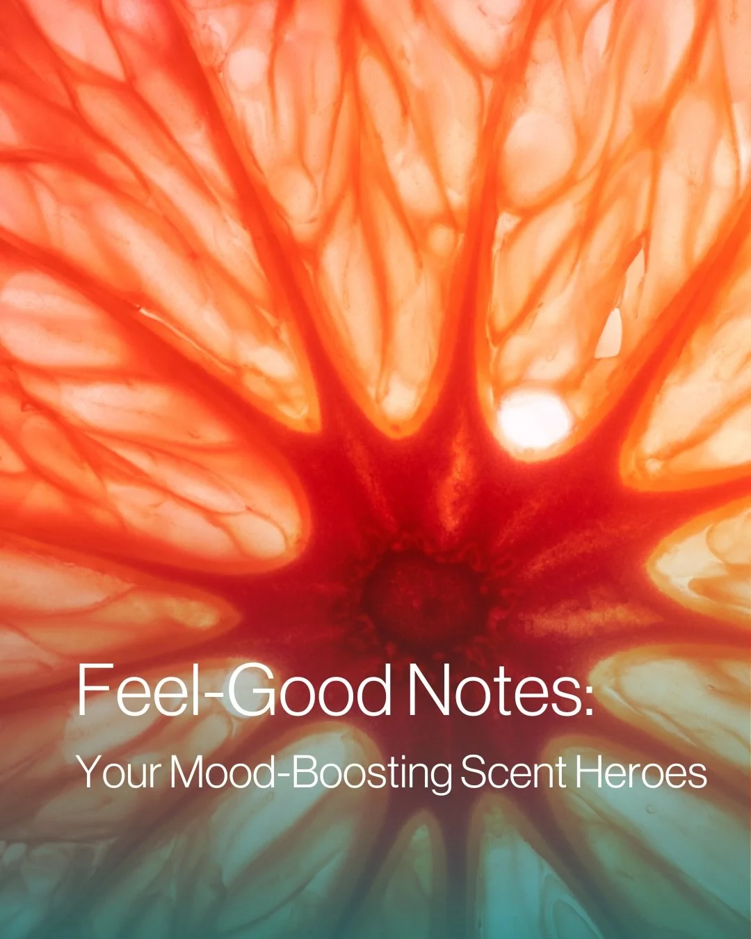 What&rsquo;s your fragrance note must for a January pick-me-up?
Start the year with a fragrant boost: explore how notes can lift, ground and soothe, with science-backed fragrance families enhancing mood and wellbeing.