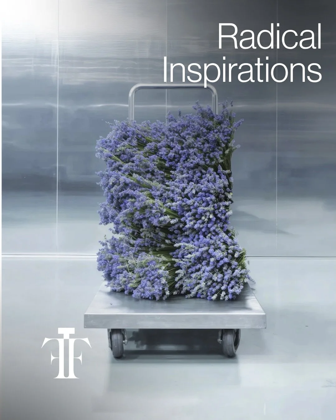 From stillness to movement, from quiet life to untamed landscapes, slow perfumery translates these moments into timeless compositions.

What fragrances capture this for you?