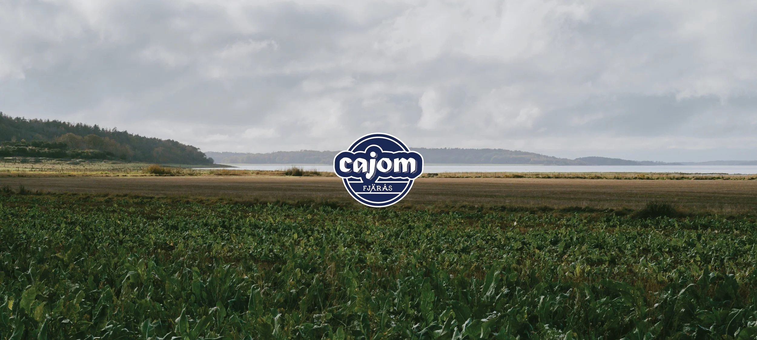 CAJOM - Design and Marketing
