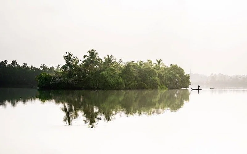 2C8CD29A-157A-4A0B-8184-82B24F7FE246.JPG
