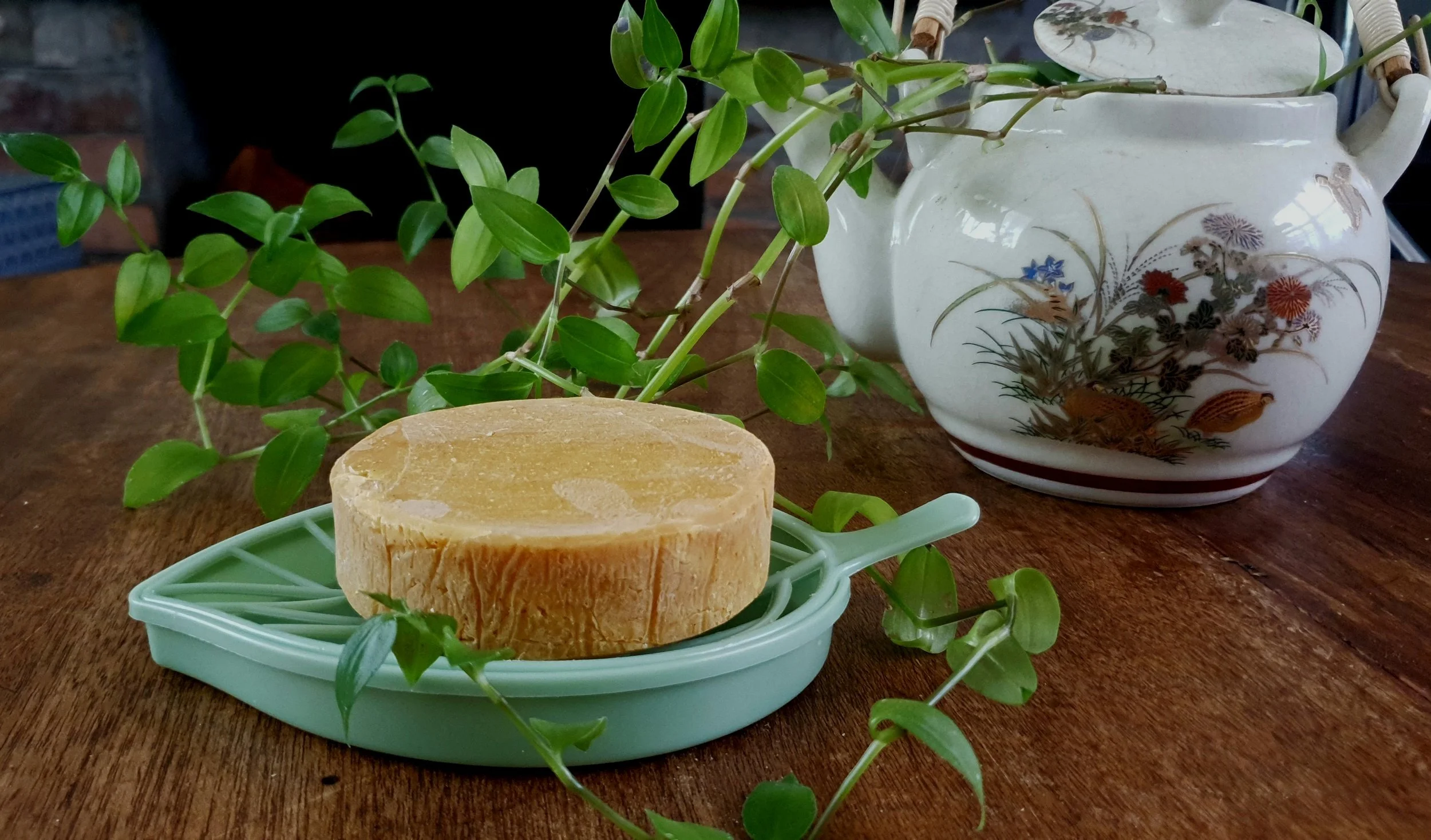 soap+on+green+dish.jpg